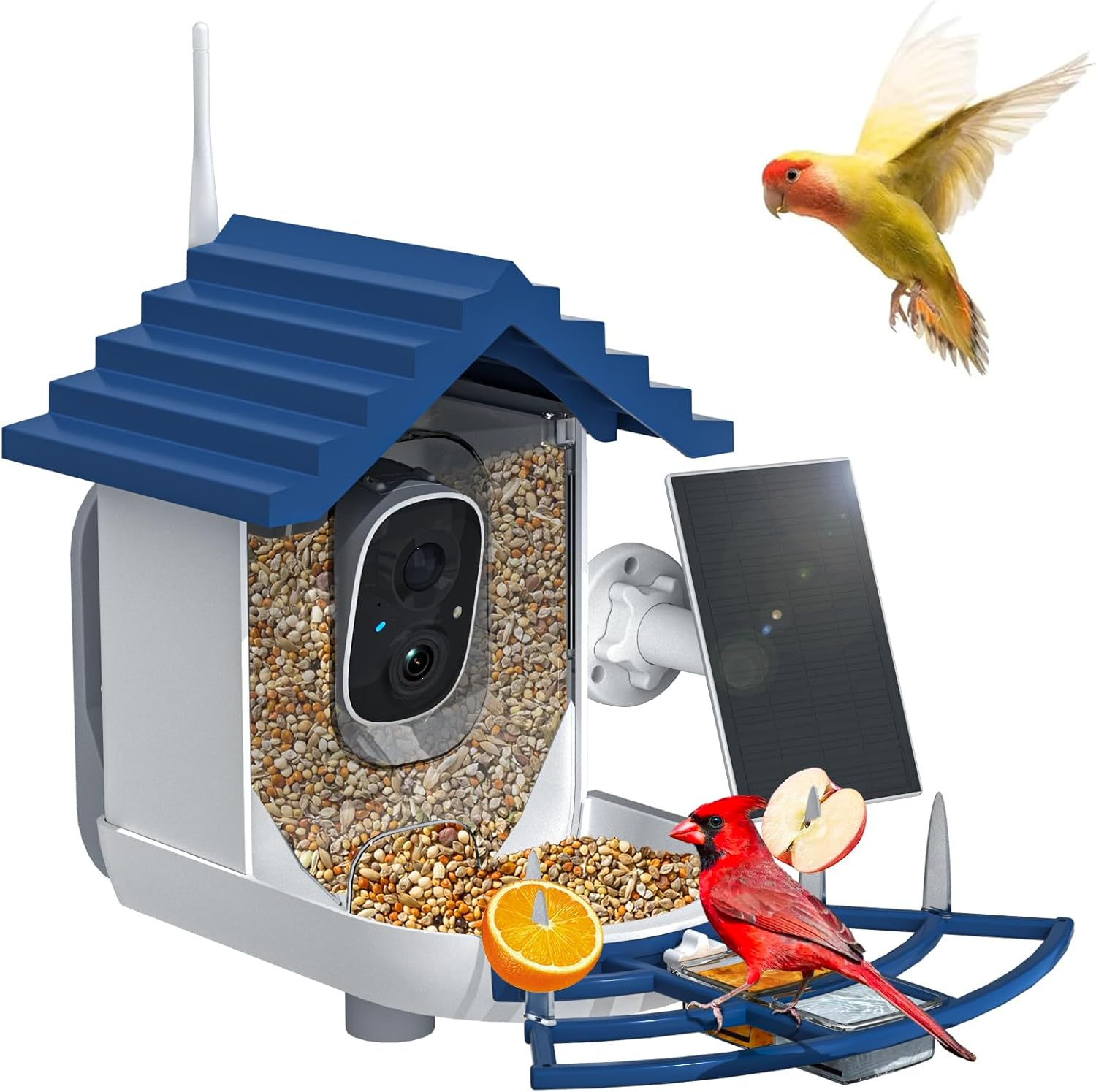 Smart Bird Feeder with Camera Solar Powered & AI Bi Rd Identification, 2.4Ghz Wifi Bird Feeders for Outdoors, 2K Live Video, Nstant Arrival Alerts - Best Gifts for Bi Rd Lovers（Indigo Blue） image number 4
