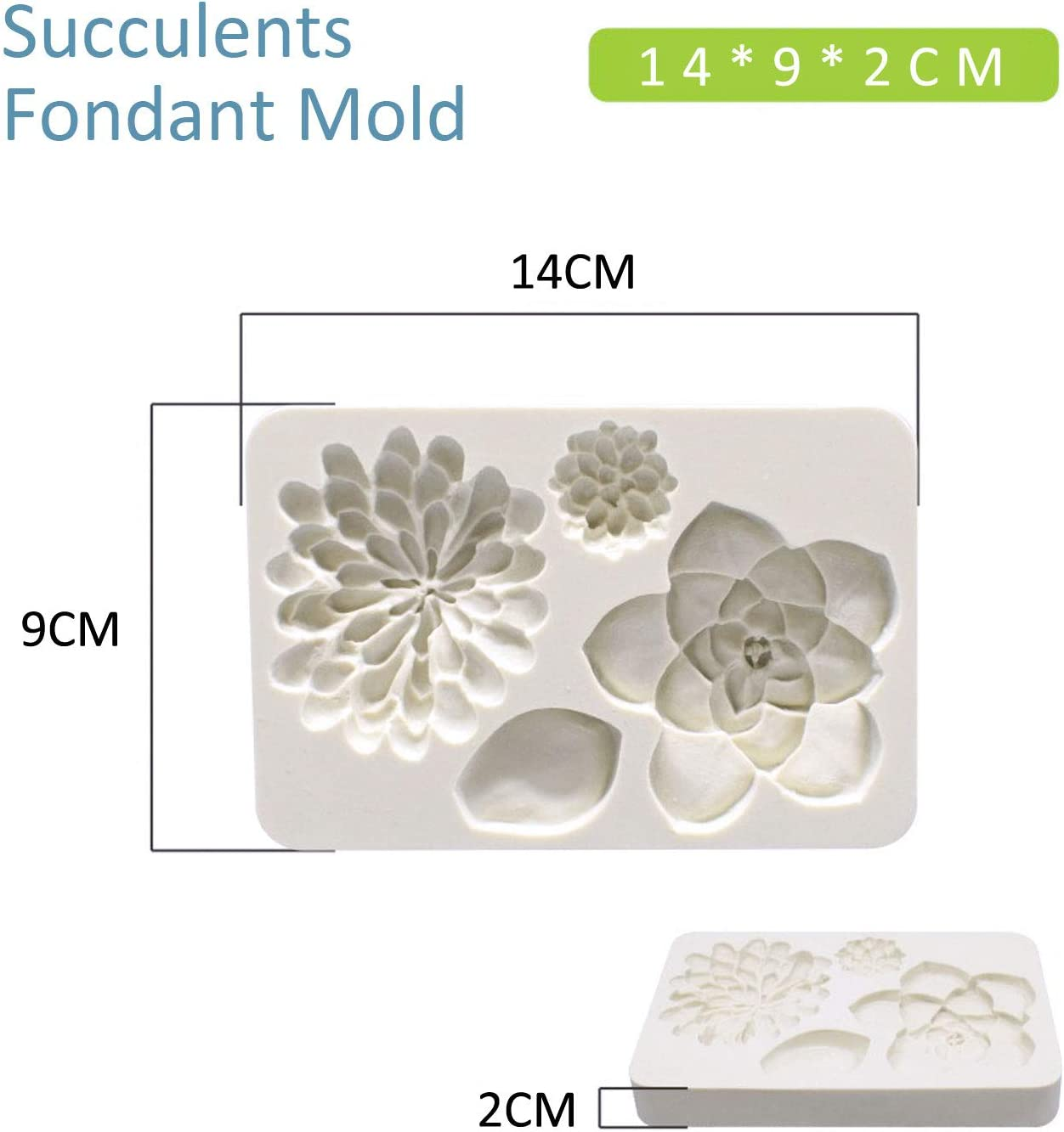 2PCS Fondant Mold Succulent Silicone Fondant Mold Fern Fondant Mold Succulent Leaves Silicone Candy Molds Cake Decoration Molds Gumpaste 3D Silicone Molds for Polymer Clay, Cupcakes, Resin Sugarcraft