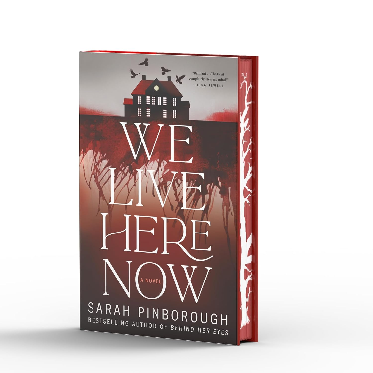 We Live Here Now: the Sensational New Thriller from the Number One Bestselling Author of behind HER EYES! image number 1