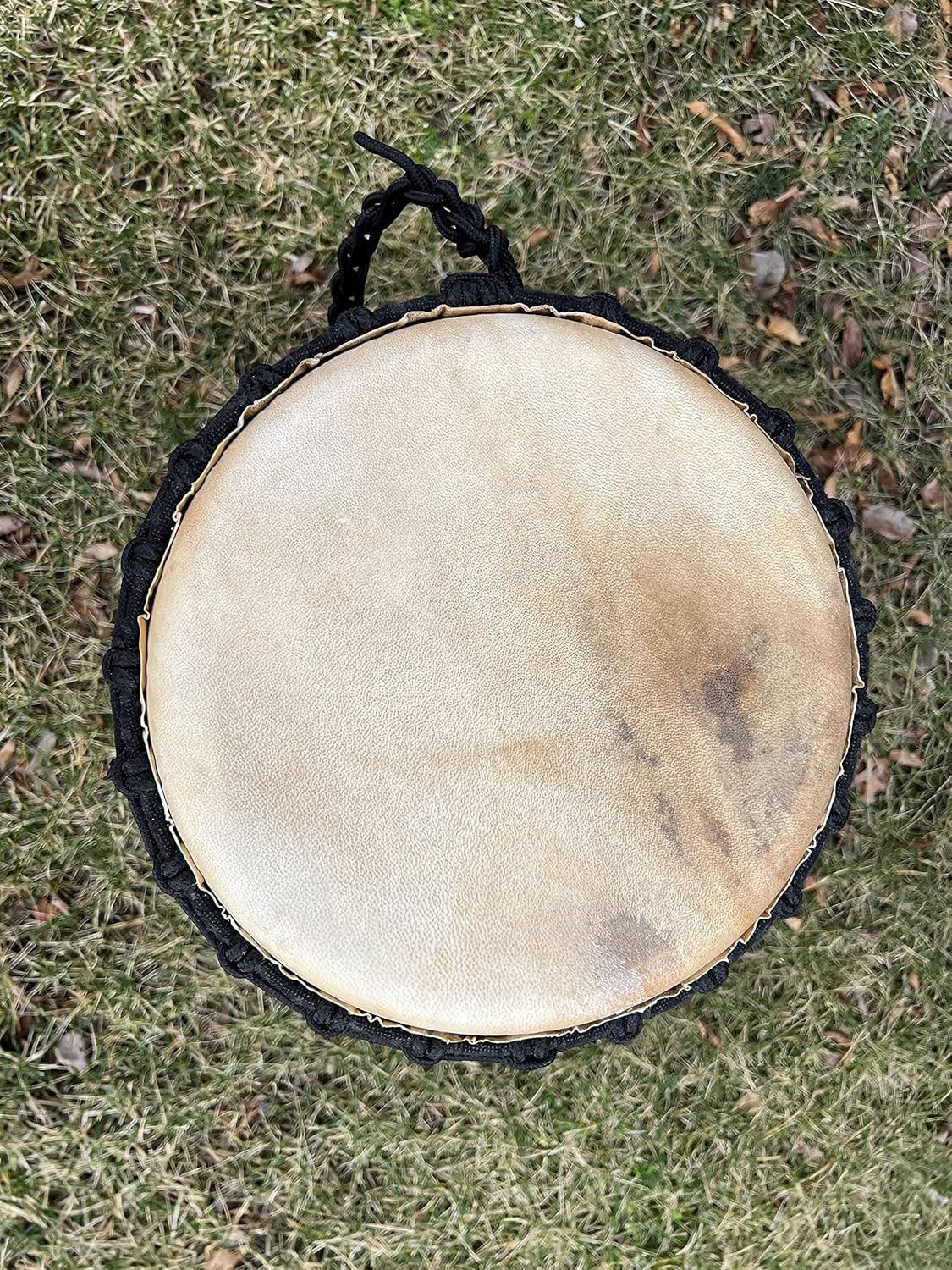 Djembe Standard Linecarv, 24" Tall, 12" Head, NK047 image number 1