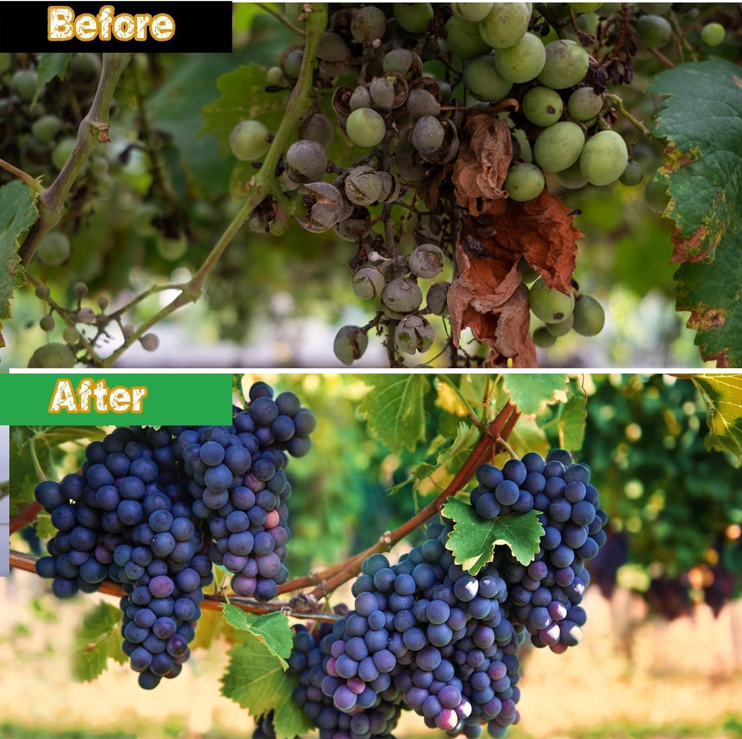 Large Fruit Tree Netting Bags, POIUNA Fruit Tree Netting Cover with Zipper and Drawstring, Fruit Tree Netting for Large Trees, Garden Mesh Netting for Garden Protection,Insect Bird Netting(8.3 X8.3Ft) image number 1