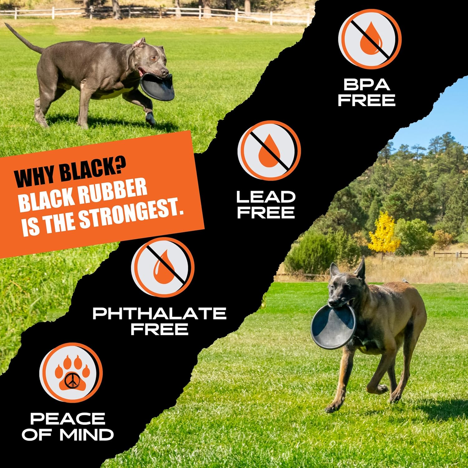 Indestructible Dog Frisbee - Lifetime Guarantee - Tested by Pitbulls, German Shepherds, Other Aggressive Chewers & Large Dogs - Tough Strong Durable Natural Rubber - Safe & Non-Toxic image number 5