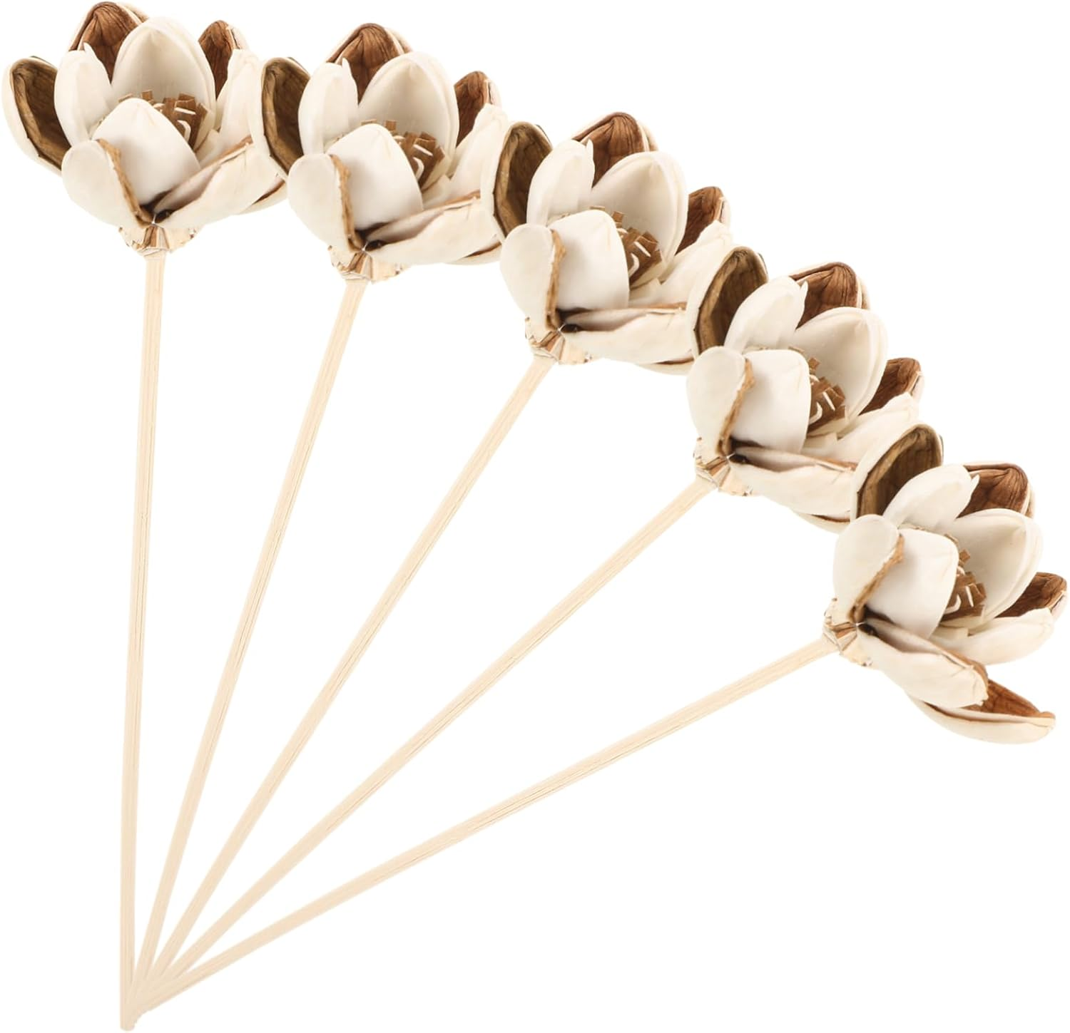 SEWACC 10Pcs Natural Flower Diffuser Sticks Aromatherapy Oil Fragrance for Home Scent Diffuser Bottles image number 2