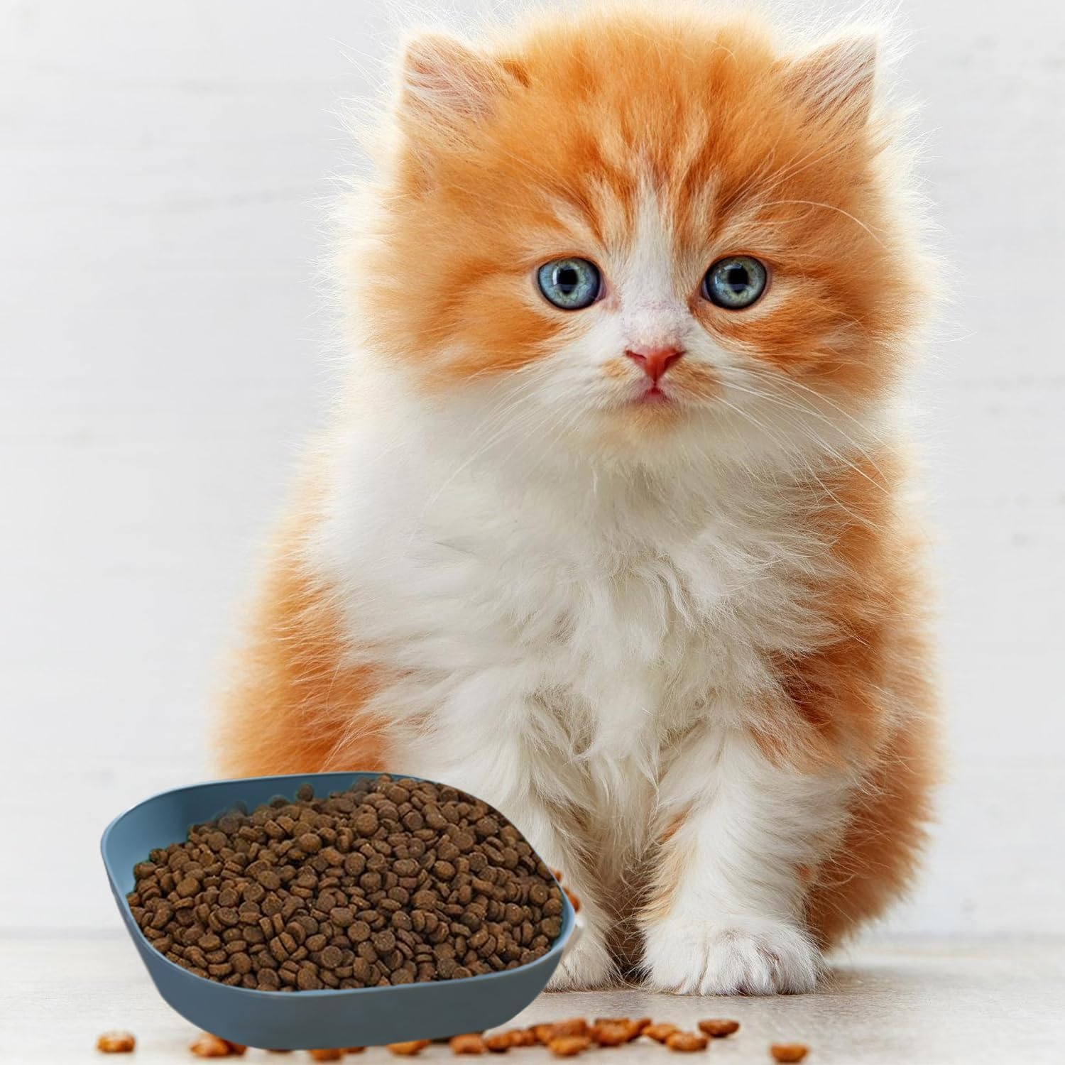 HOMURY Cat Feeding Bowl Set of 9, Square Cat Plate, Flat Cat Bowl, Cat Bowl, Small Cat Feeding Bowl, Cat Bowl for Dry Food and Wet Food image number 6