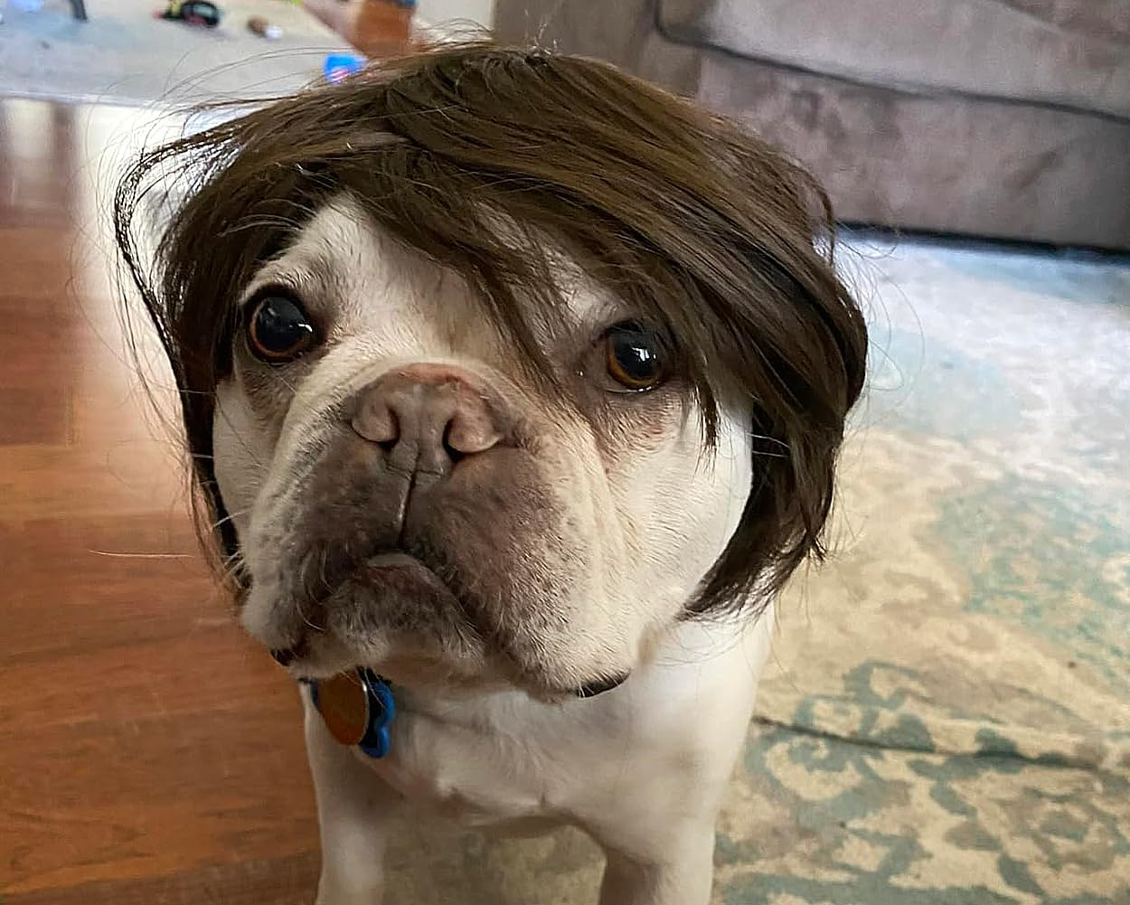 DS. DISTINCTIVE STYLE Dog Wig for Small and Medium Breeds Trimmable Pet Costume Accessories Cat Cosplay Prop for Halloween, Christmas, and Dress Parties image number 6