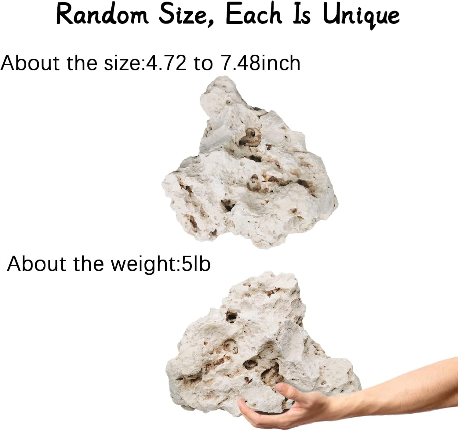 Hamiledyi Aquarium Holey Rock Stone White Coral Ornament Sea Base Rocks for Aquarium Aquascaping Natural Limestone Decor for Fish Tank Aquatic Shrimp Pet Reptile Habitat (Random Size and Quantity) image number 6