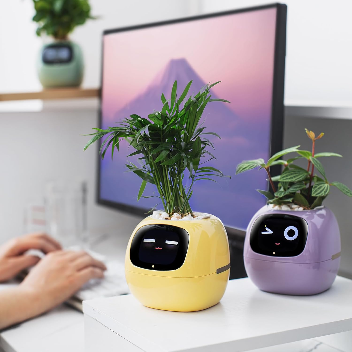 Smart Pet Planter Robot Guidance on Plant Care with Emojis, Adorable Plant Companion with Rich Gesture Interaction, Neat Desk Setup Gift(Green) - Nemo image number 6