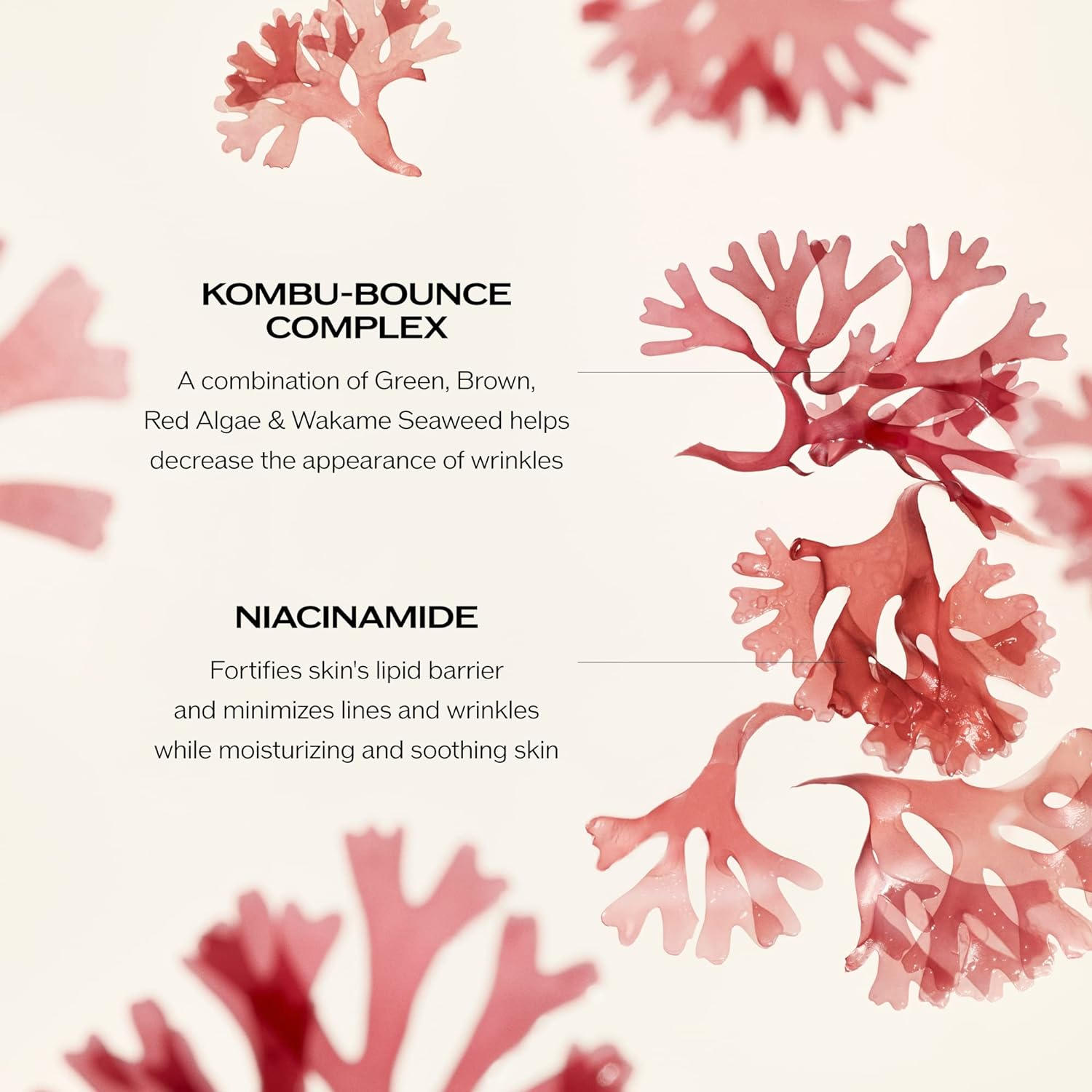 Shiseido Benefiance Wrinkle Smoothing Cream Enriched by Shiseido for Unisex - 1.7 Oz Cream, 50 Ml (Pack of 1) image number 6