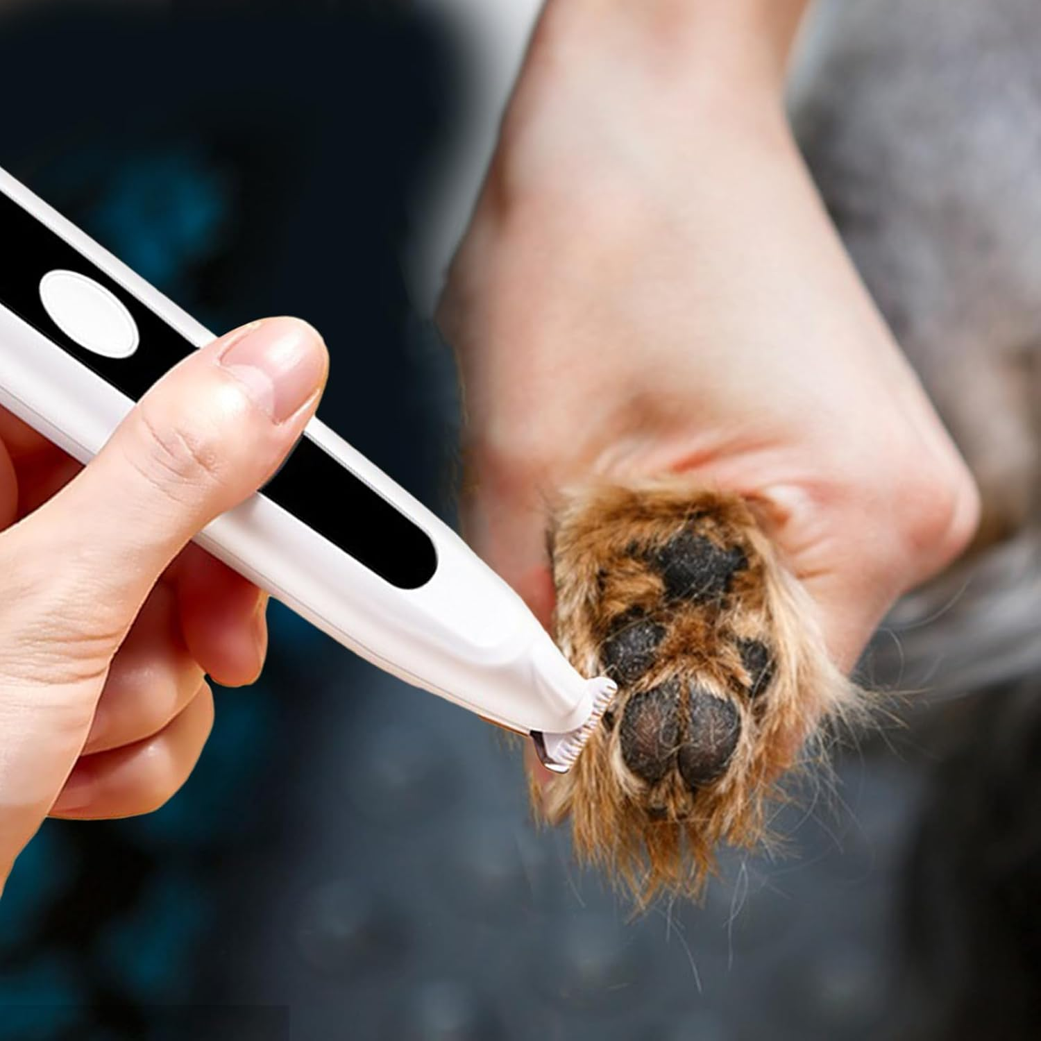 Cat Hair Trimmer,Cat Clippers for Grooming - Low Noise Pet Groomer Supplies, Grooming Tool for Small Medium Animals Puppy Kitten Eyes Ears Face