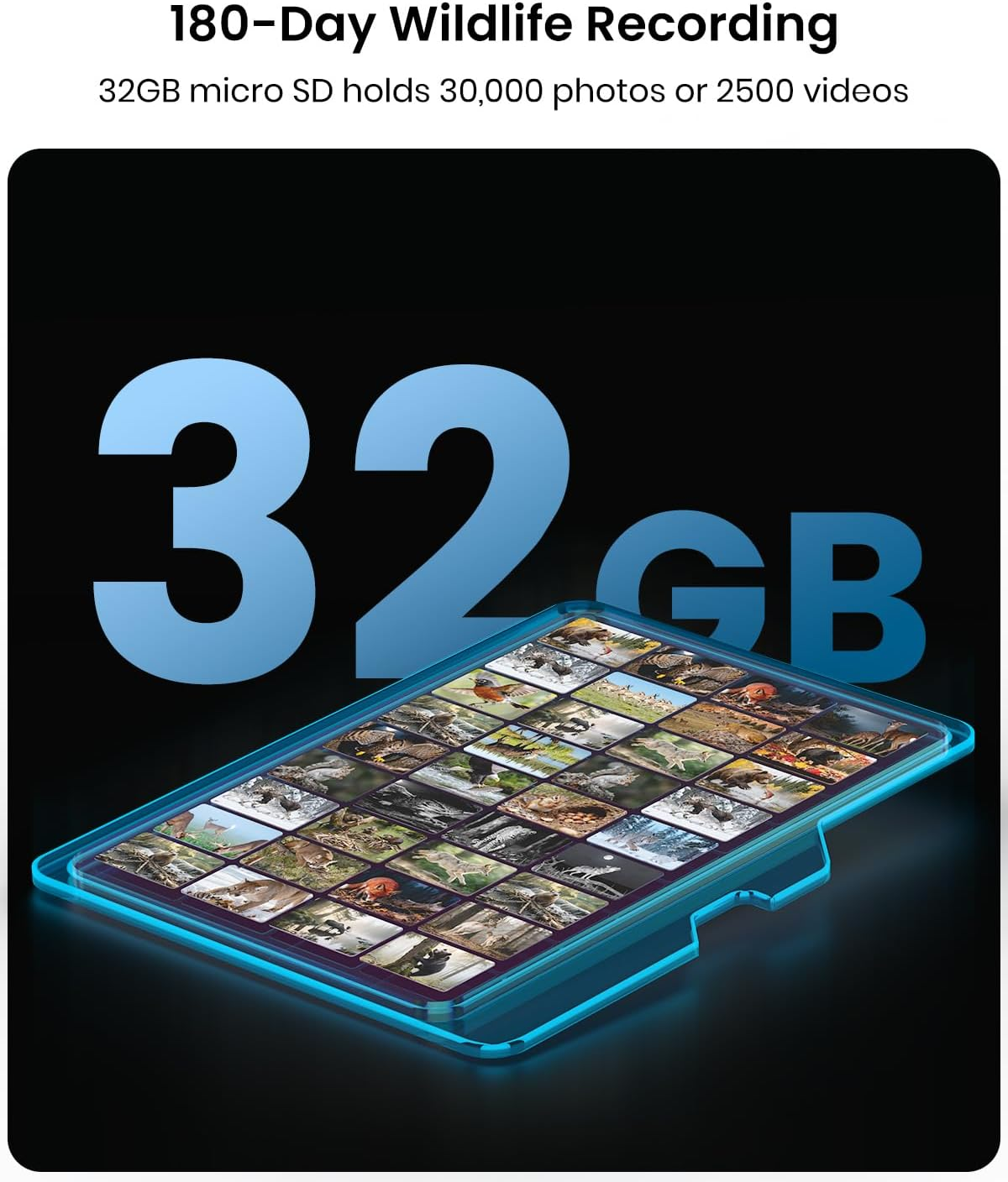 Misstech 4K UHD Solar Trail Camera &ndash; 0.1S Motion Trigger to Capture Fast Animals, Wildlife Monitoring & Game, 64MP/4K Clear Night Vision, No Monthly Fee, App Control, IP66, with 32GB SD Card image number 2