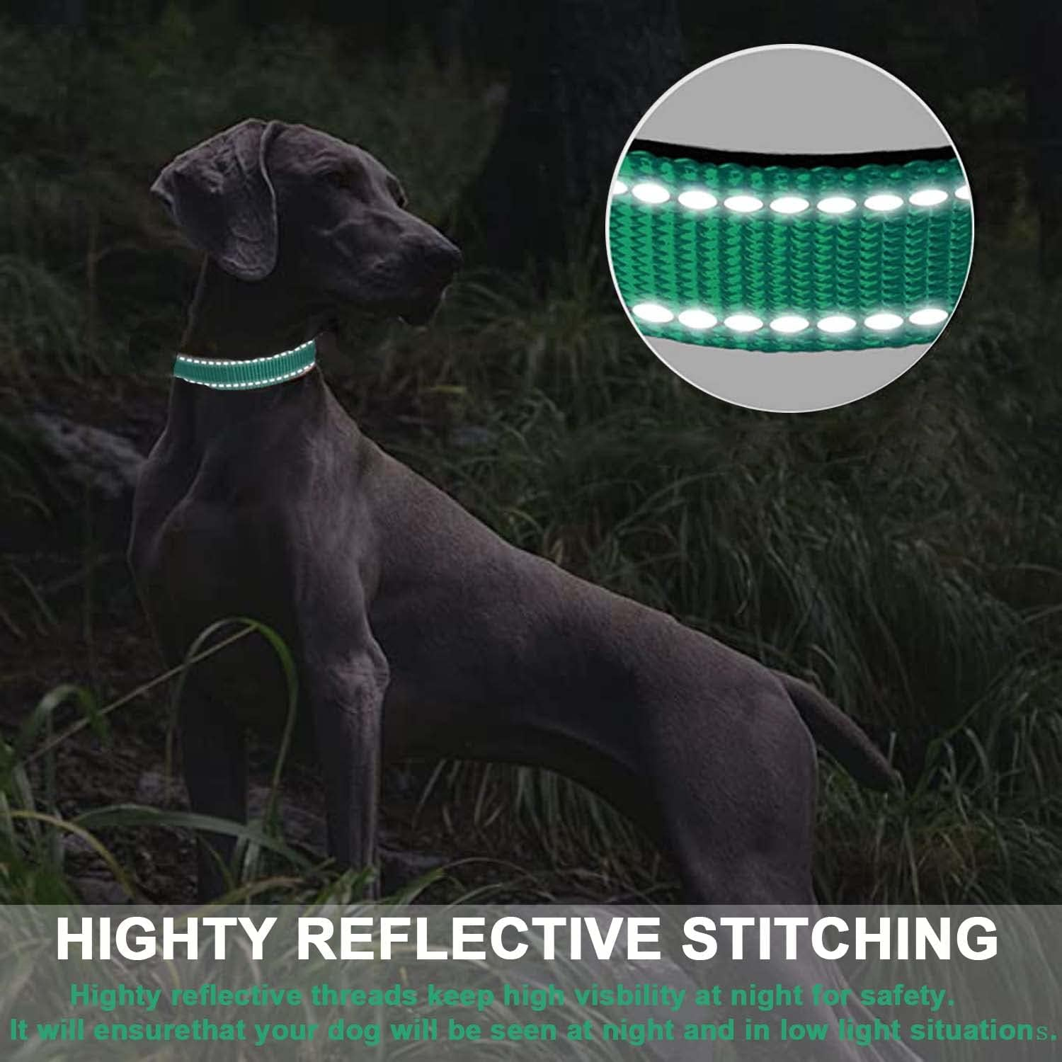 Dog Collar, Reflective Adjustable Basic Dog Collar with Soft Neoprene Padding, Durable Nylon Pet Collars for Puppy Medium Dogs image number 5