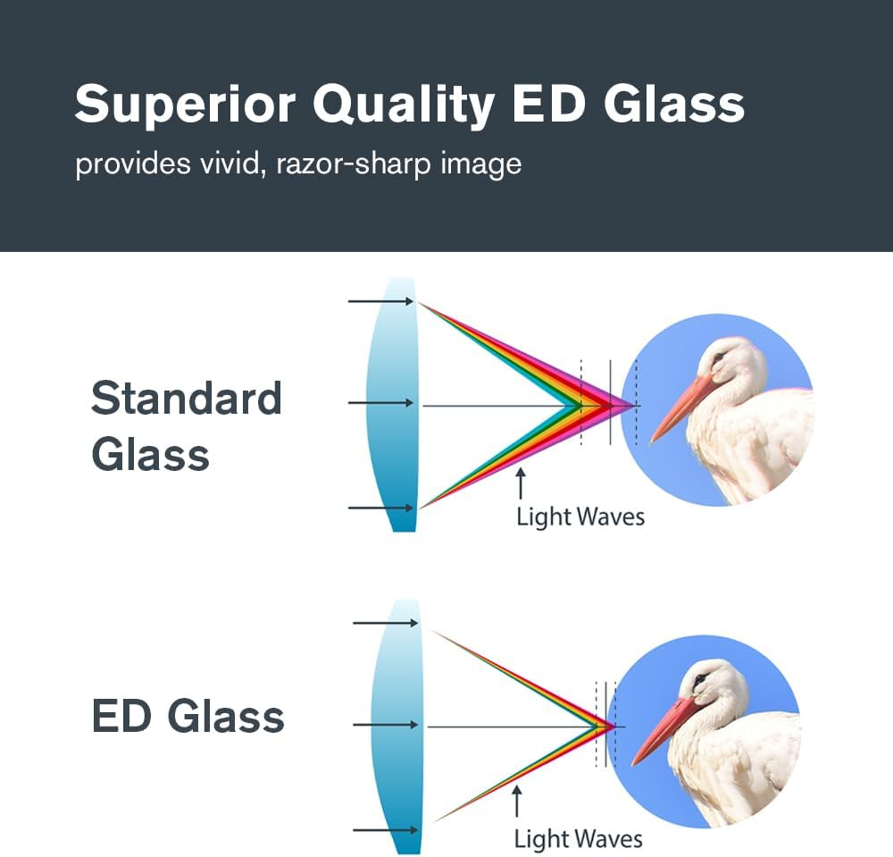 Celestron 72332 Nature DX ED 8X42 Binoculars - Premium Extra-Low Dispersion ED Glass Lenses Black image number 1