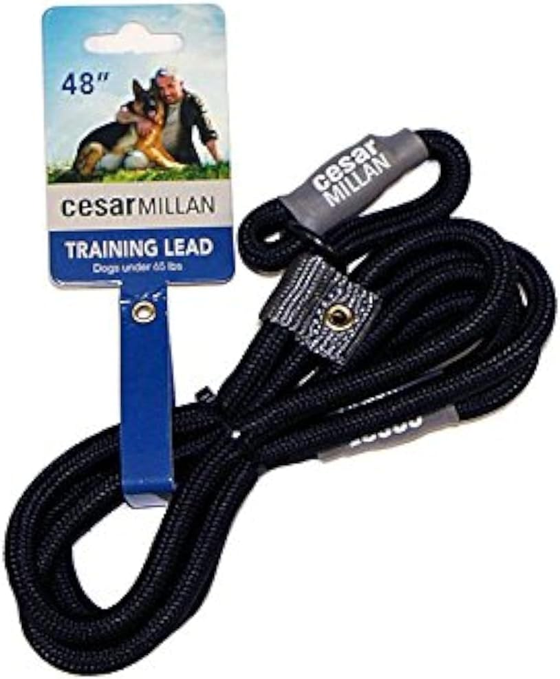 Cesar Millan Slip Lead Leash&trade; - Slip Collar Training Lead Gives You Greater Control and the Ability to Make Quick and Gentle Corrections (Regular, Black)
