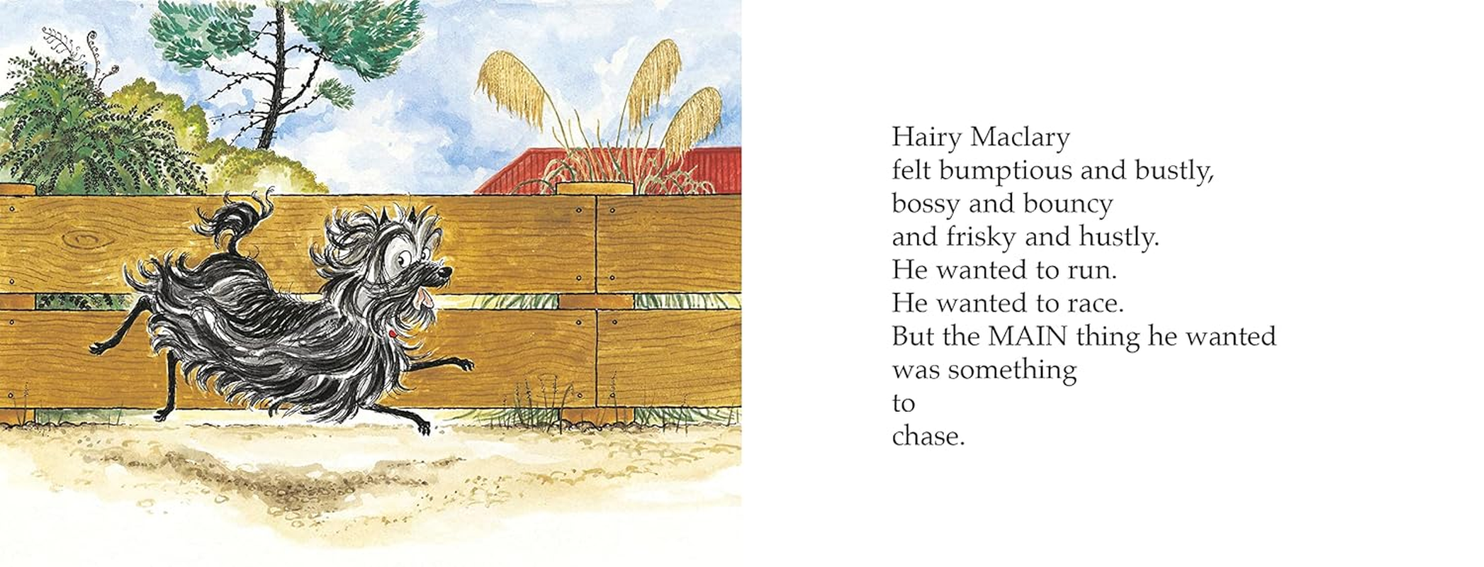 Hairy Maclary Scattercat