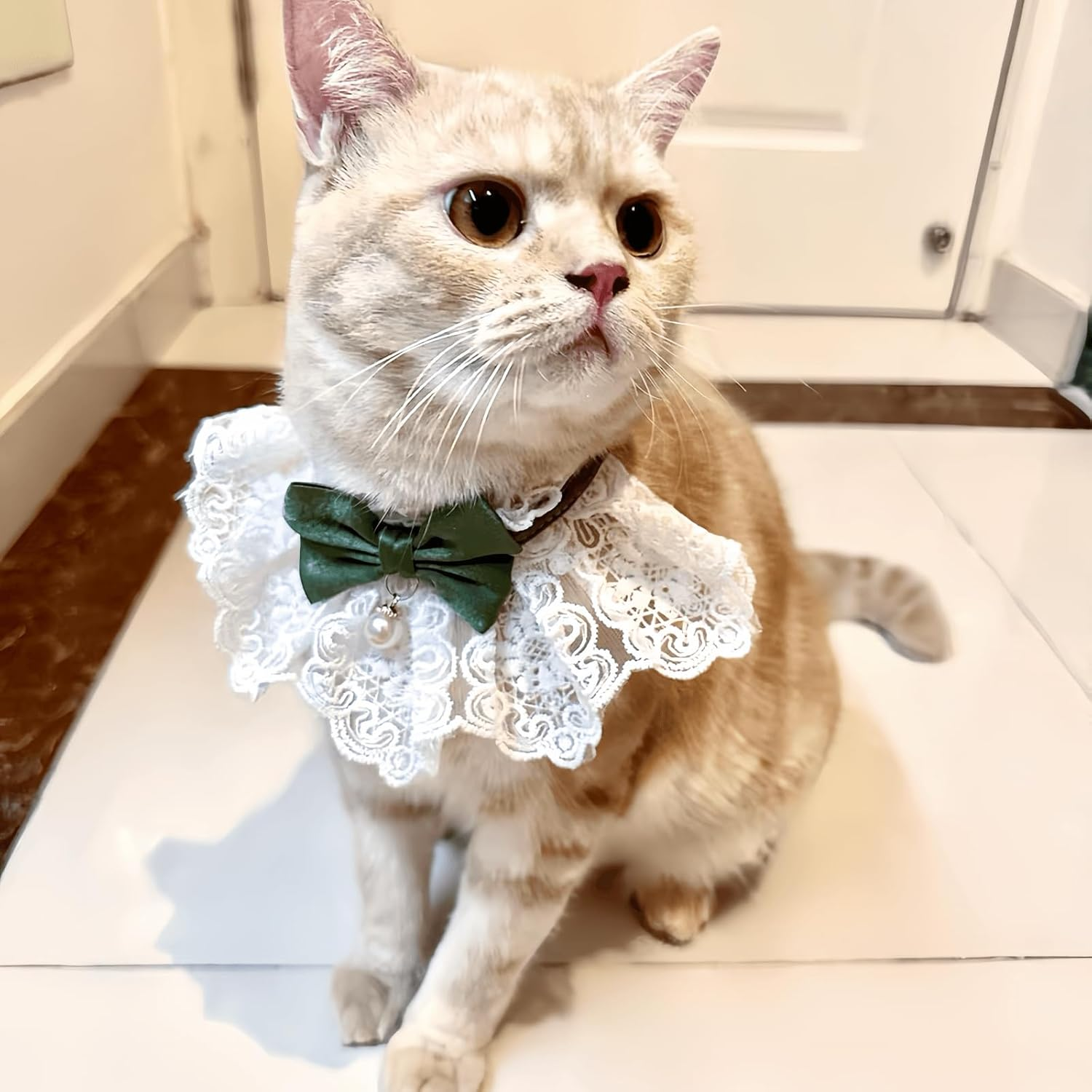 Cute Cat Collar Breakaway Floral Aesthetic Cats Bowtie Collar Bow Tie with Bell for Indoor Cats and Small Dogs Puppies (Green, L (11-20Lbs)) image number 1