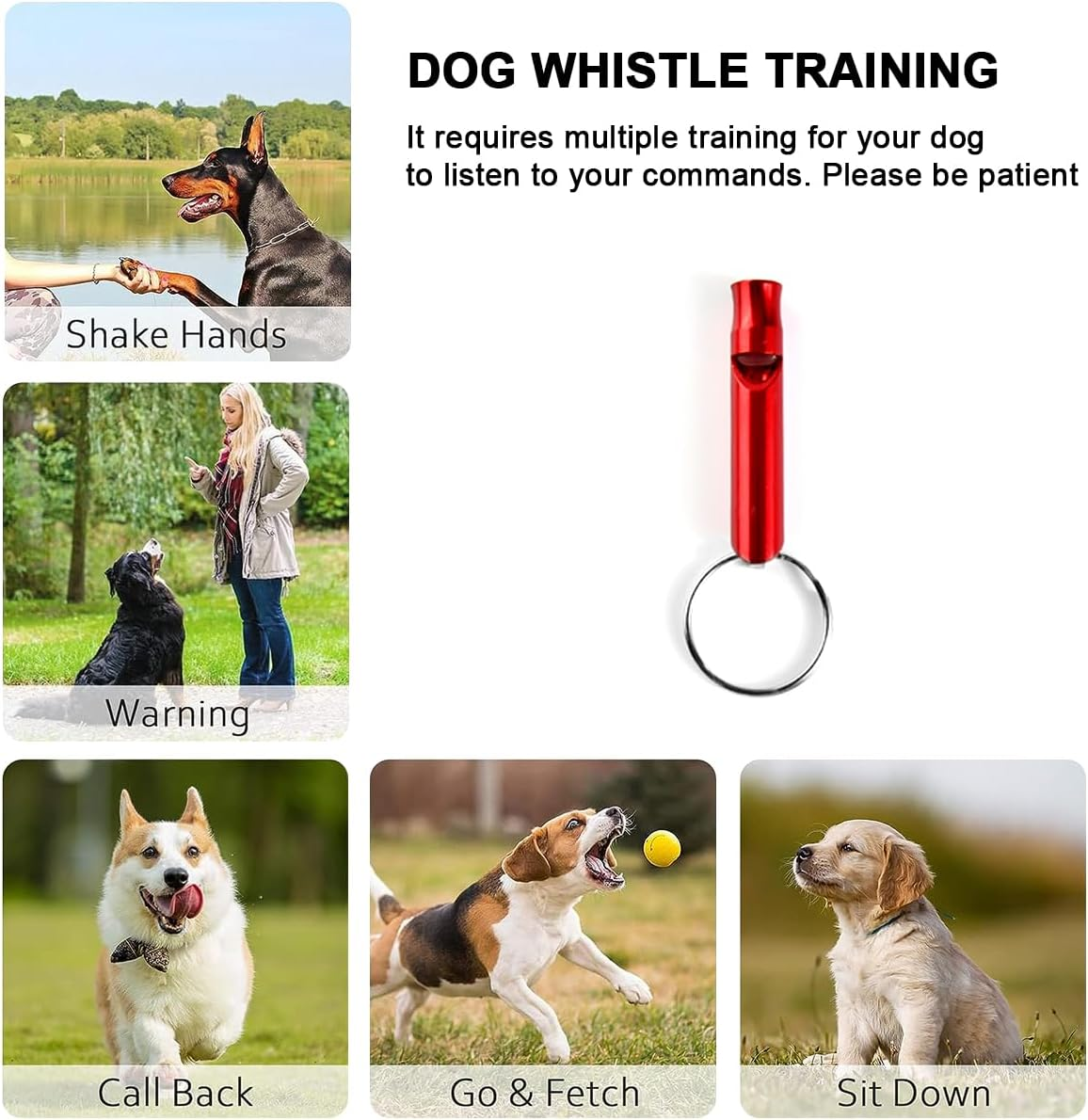 Ruayia Glove Grooming, Pet Brush Glove, Brushes Grooming Dog Brush Cat Brush, Massage Glove Fur Brush for Dogs Cats (Blue)