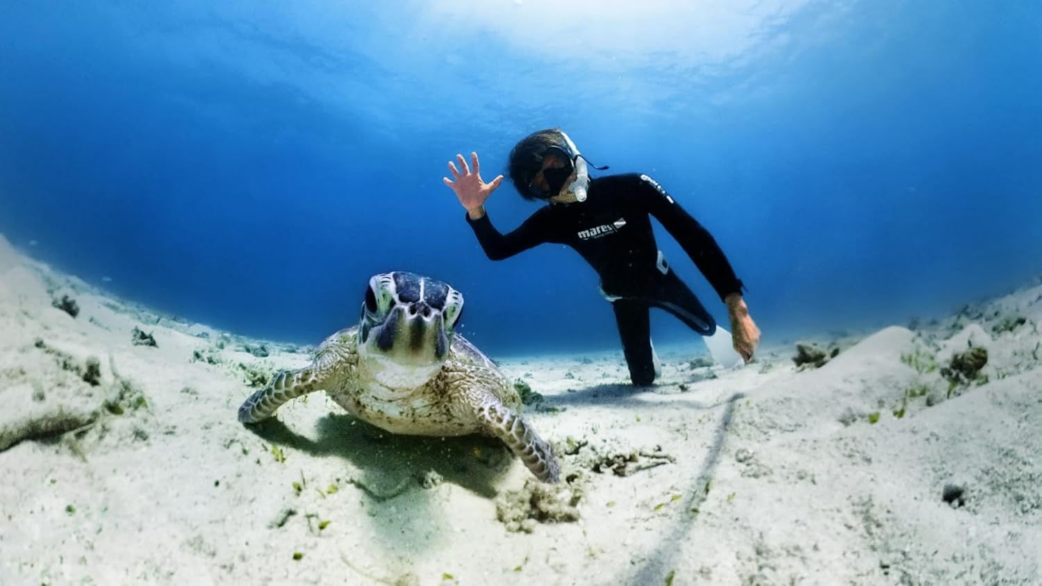 Insta360 X3 Invisible 50M (164Ft) Dive Case/Housing image number 5