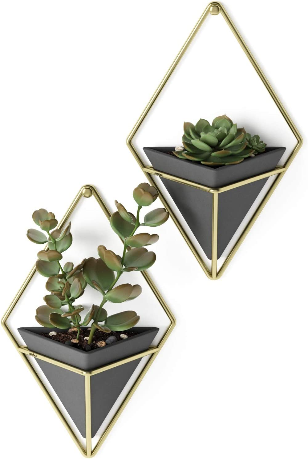 Umbra Trigg Hanging Planter Wall Decor Set, for Displaying Small Plants, Pens and Pencils, Makeup Accessories, Black/Brass image number 5