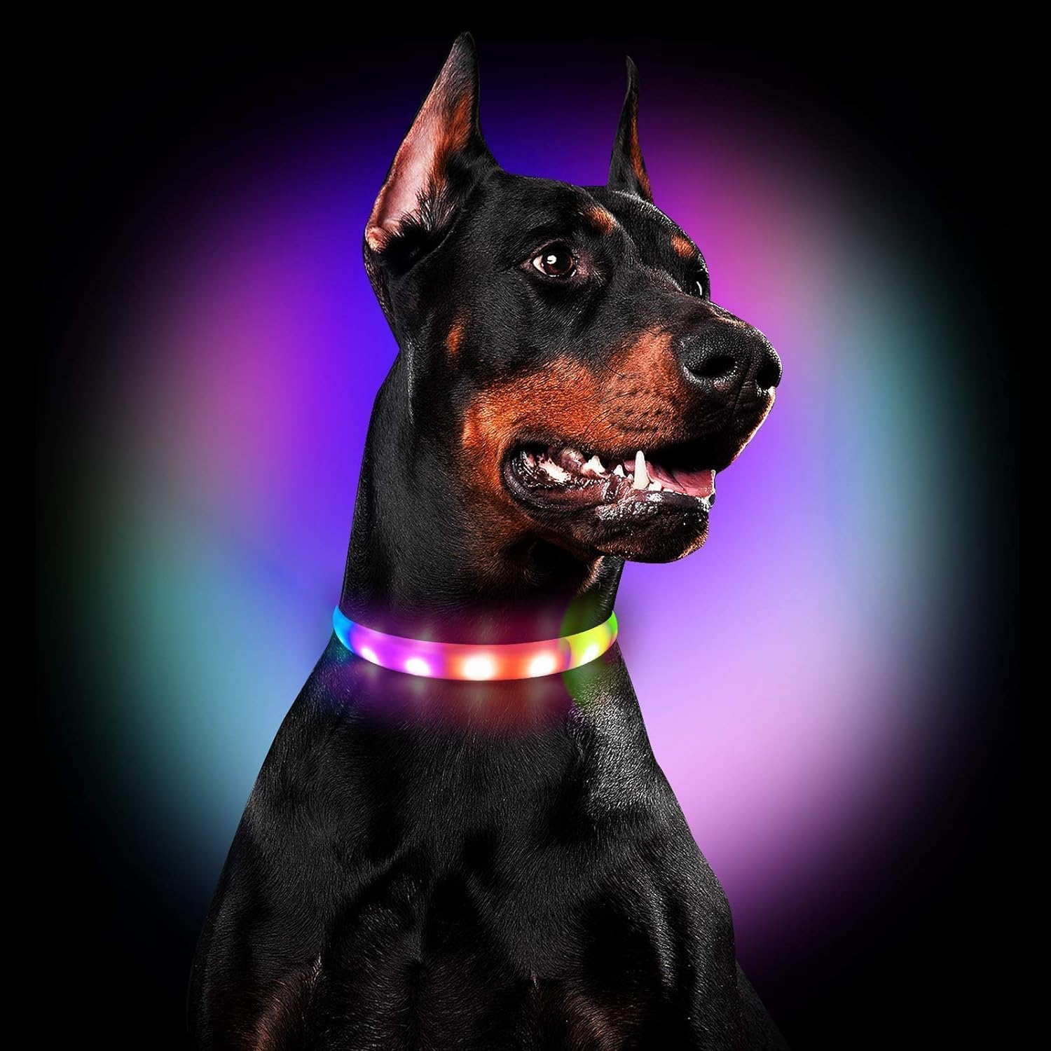 LED Dog Collar - Color Changeable Light up Dog Collars USB Rechargeable,11 Light Effects Glow in the Dark Collar Weatherproof Fits for Small Medium Large Dog,Keep Your Pets Seen Safety High Visibility image number 1