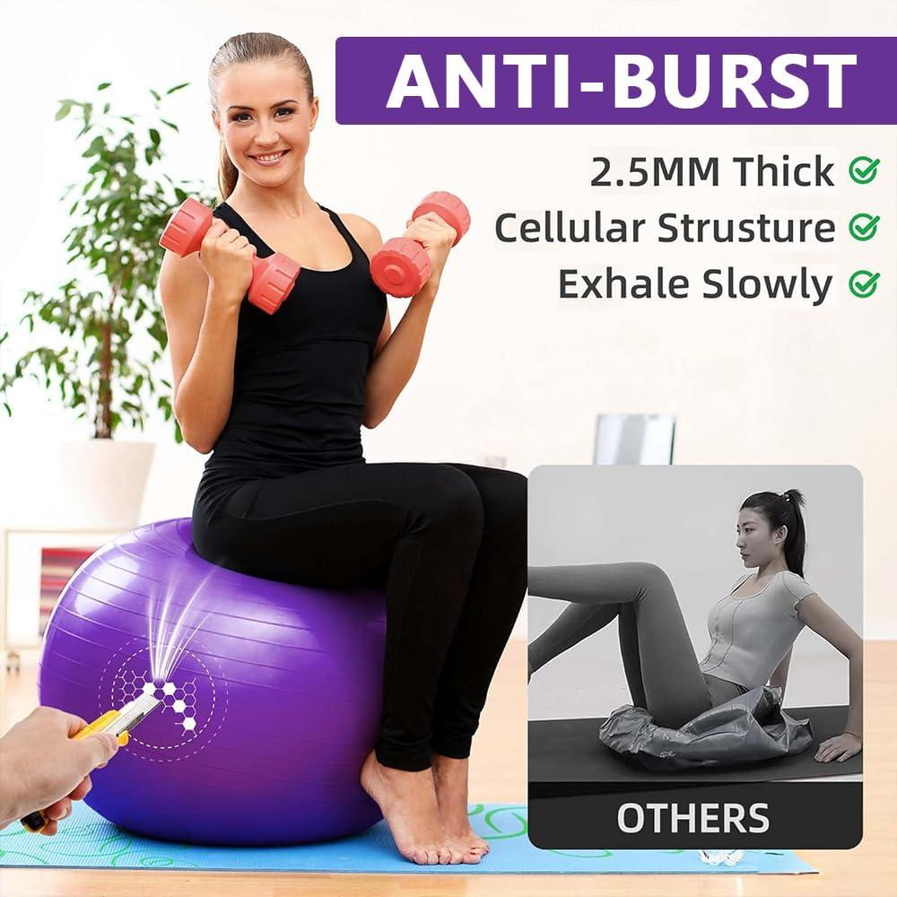 Anti-Burst Yoga Ball 65Cm &ndash; Heavy Duty Exercise Ball with Pump, Non-Slip Stability Ball for Fitness, Pregnancy, Balance, Pilates & Physical Therapy, Frosted Purple image number 1