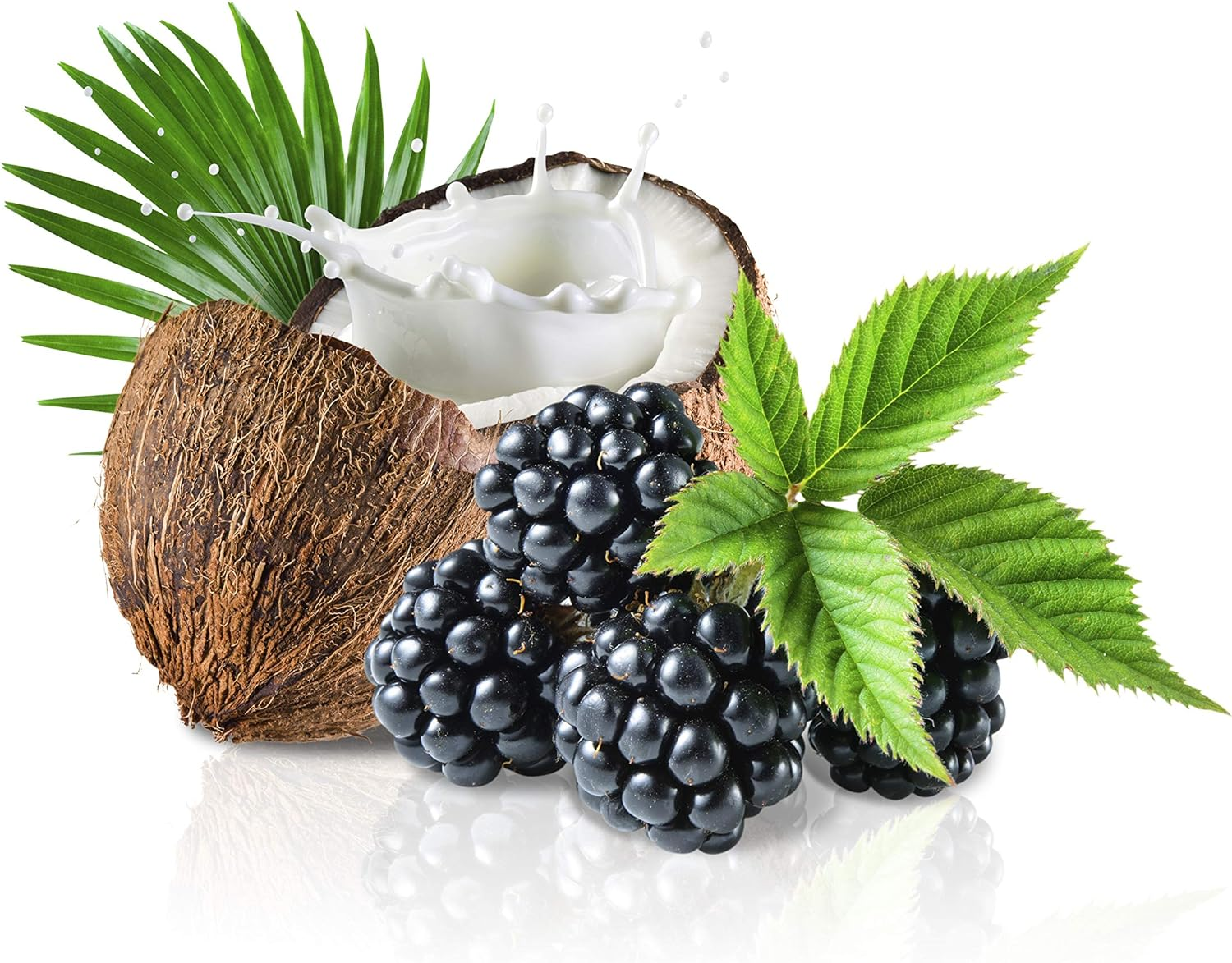 GIOVANNI 2Chic Ultra-Repairing Shampoo - for Damaged, Over-Processed Hair, Helps Restore Hair'S Natural Elasticity, Blackberry & Coconut Oil, Argan, Shea Butter, Color Safe - 24 Oz image number 4