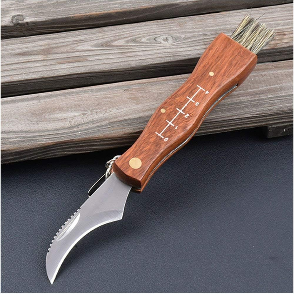 Run-Snail Mushroom Knife, Fungus Knife, Folding Camping Hunting Truffles Harvest Sharp Knives Natural Wood Handle Pocket Knife W/Bristle Brush, SS Pruning Blade, Hardwood Handle