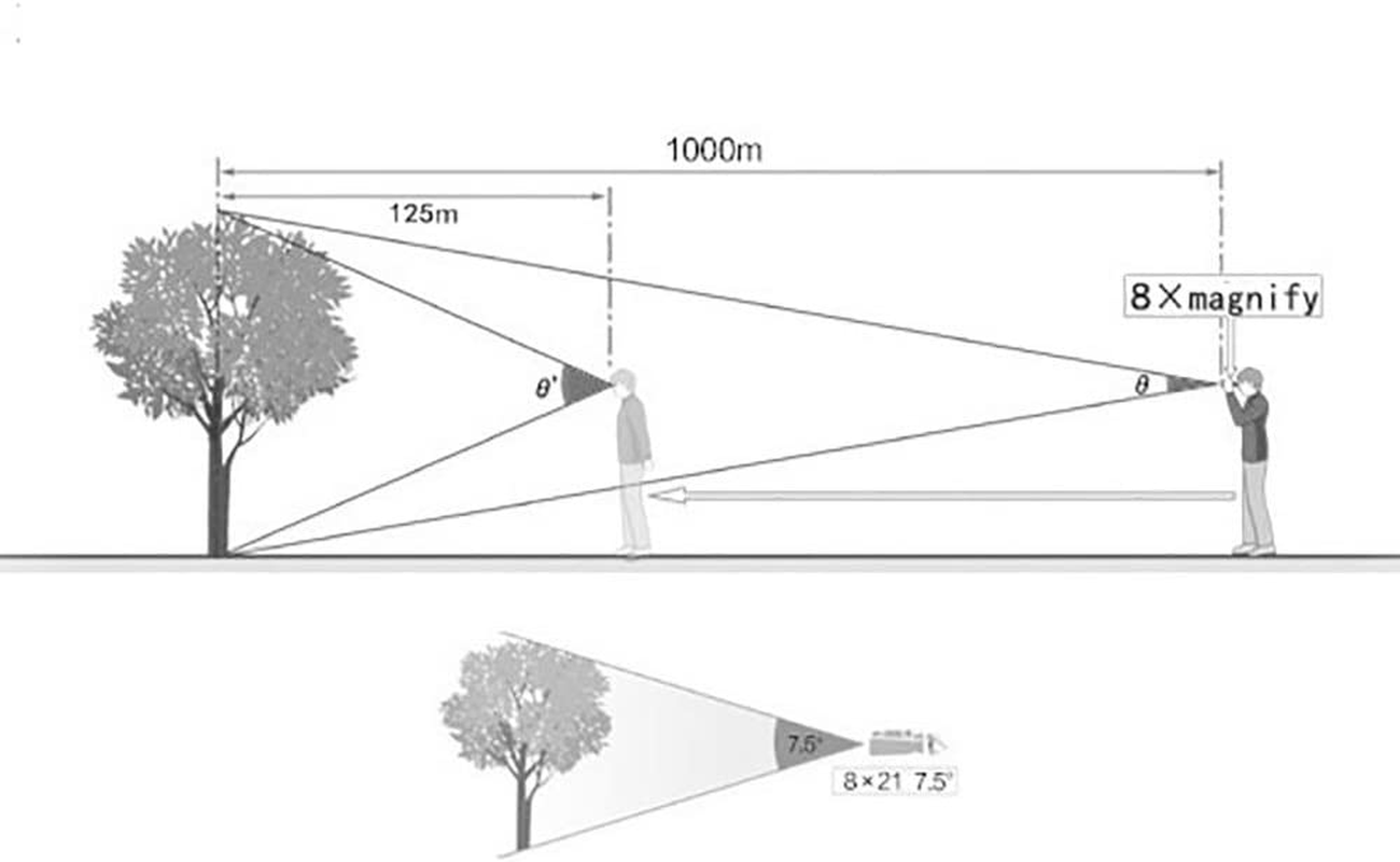 Mini Compact Lightweight 8X21 Small Binoculars for Concert Opera Sports Game Outdoors Hiking Travel Kids Bird Watching image number 2