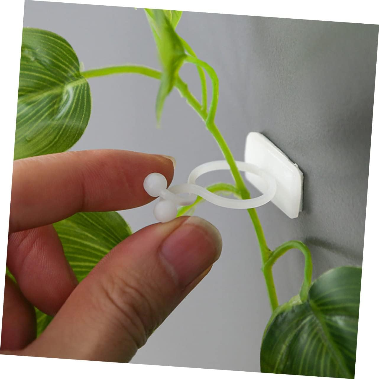 Yardenfun 100Pcs Plant Climbing Wall Fixture Clips for Money Plants Self-Adhesive Indoor/Outdoor Support Hooks Small White image number 3