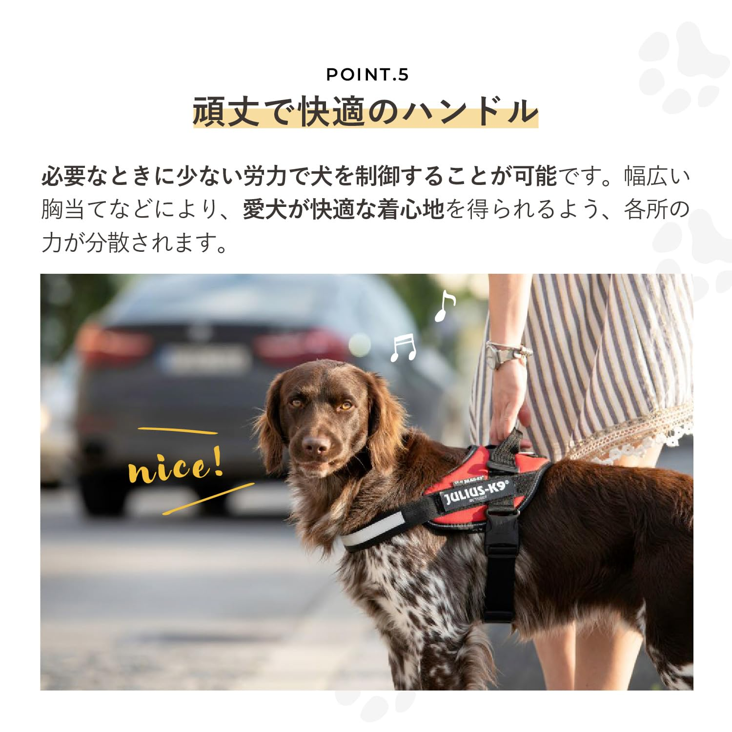 Julius-K9 Julius K9 IDC Power Harness, Size: S/Mini, Arabesque Green image number 3