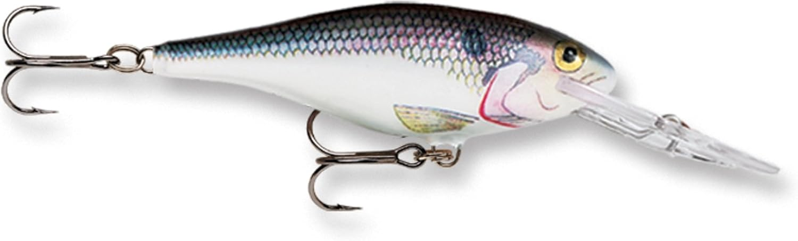 Rapala Shad Rap 05 Fishing Lure image number 4