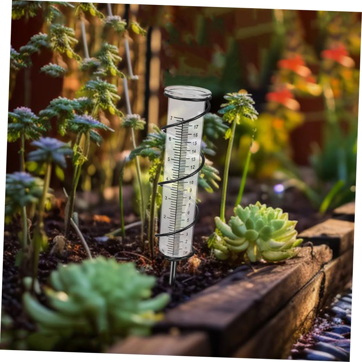 Abaodam 2Pcs Plastic Rain Gauge Tubes Clear Rain Measuring Test Tubes for Garden Water Level Monitoring Clean Replacement Rainfall Collectors image number 5