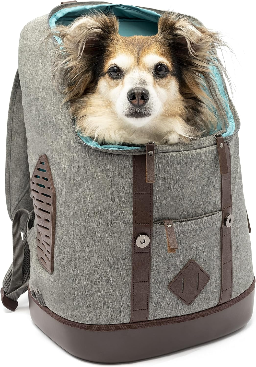 Kurgo Dog Carrier Backpack for Small Pets - Dogs & Cats | TSA Airline Approved | Cat | Hiking or Travel | Waterproof Bottom | G-Train | K9 Ruck Sack | Red | Grey (Heather Charcoal Grey) image number 3