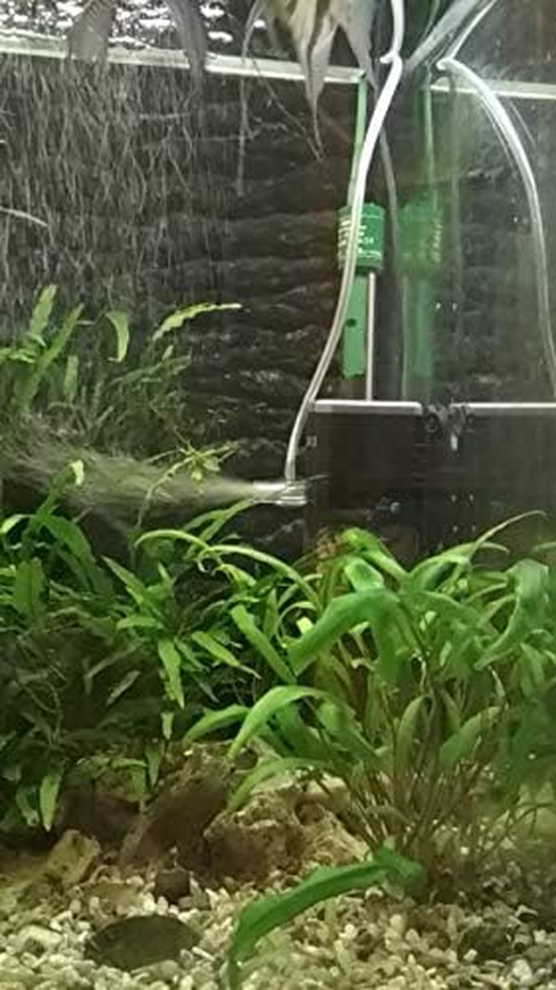 Filters & Accessories - Aquarium Filter Pump Super 4 in 1 Fish Tank Submersible Air Oxygen Internal Pump CHJ502/CHJ602/CHJ902/CHJ1502 Water Pump (CHJ-502 X P3 AU Plug) image number 4