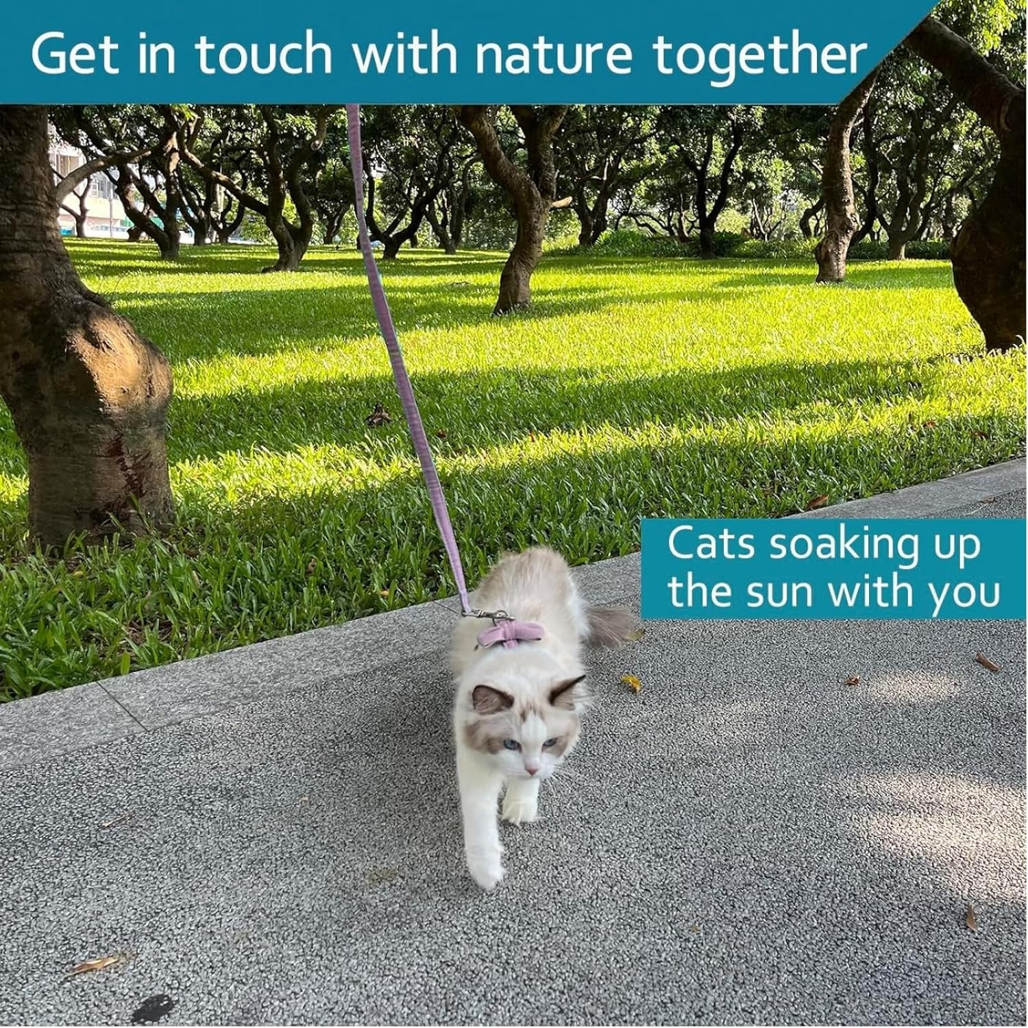 Kalione Cat Harness Set for Walking Escape Proof, Adjustable Kitten Breathable Mesh Harness,With Bow for Cat,Dog,Rabbit-Medium Size image number 1