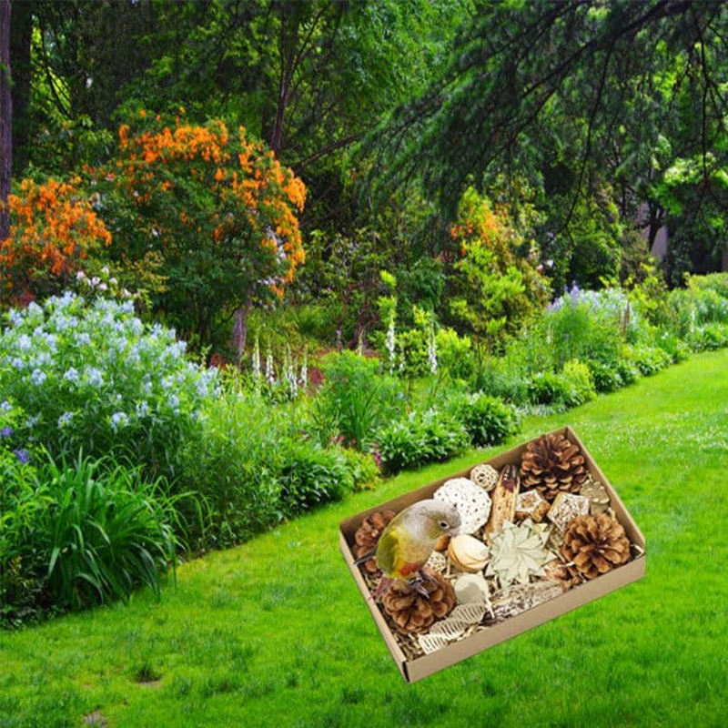 Limcryspp Natural Foraging and Biting Toy Box, an Interactive Biting Toy Suitable for Tiger Skin, Black Phoenix, Cone-Tailed, Peony Parrot and Small and Medium-Sized Birds image number 3