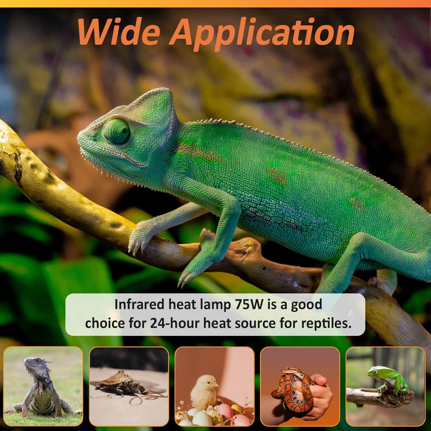 Bonlux E27 Ceramic Heat Lamp 75W Terrarium Reptile Heat Lamp, No Light, No Harm, Ceramic Heat Emitter for Snakes Lizard Tortoise Reptiles Terrariums and Vivarium, (Black, Pack of 2) image number 6