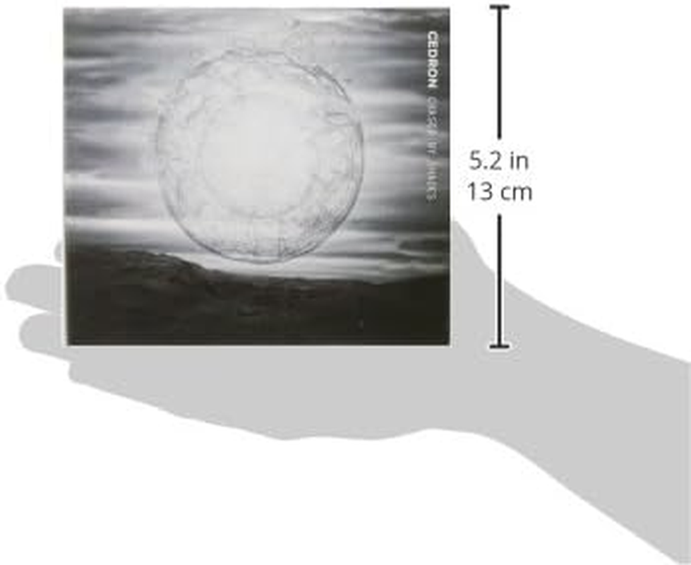 Chased by Shades image number 1