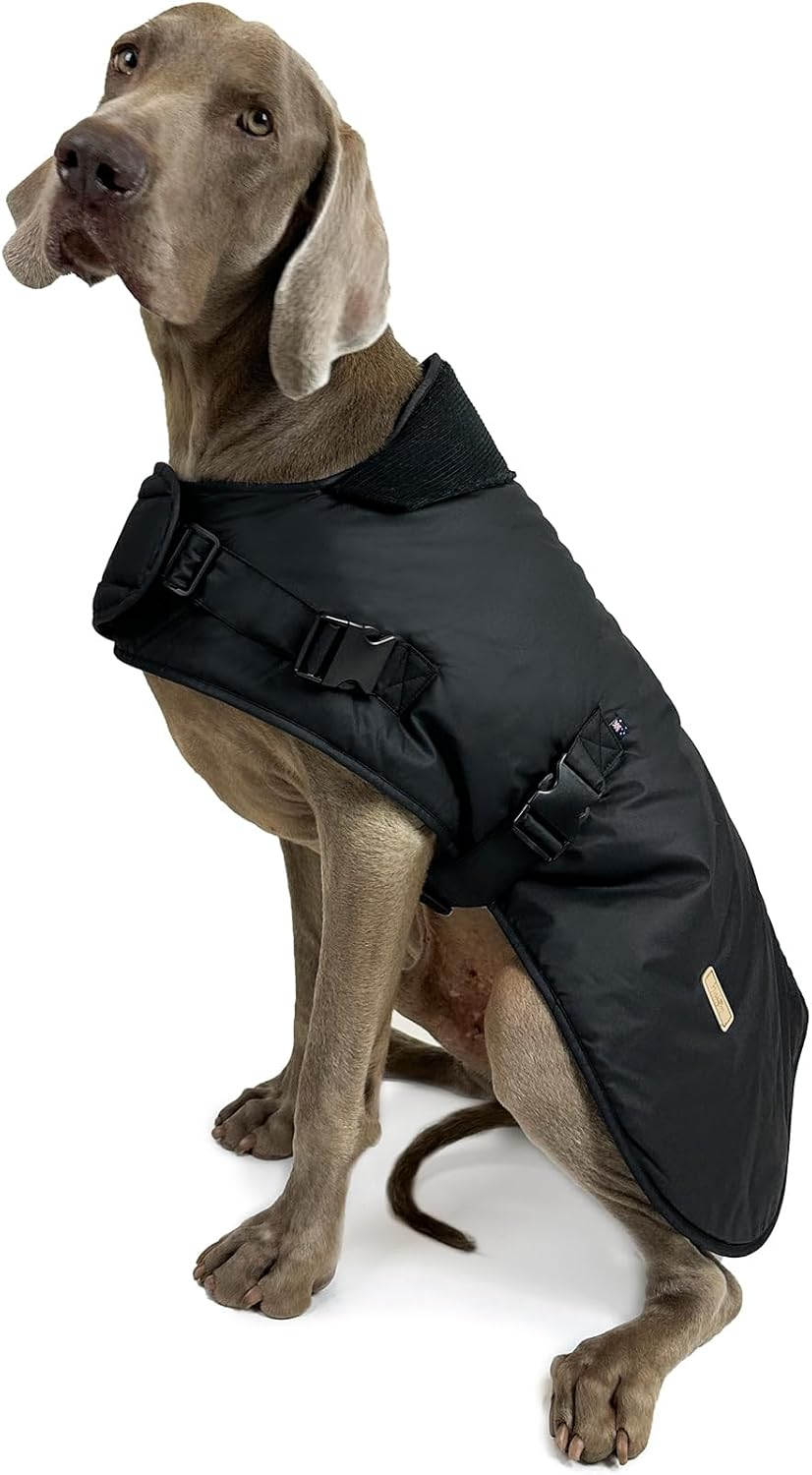 Huskimo Dog Coat Waxed Cotton Thunder 67Cm, Black &ndash; Waterproof & Windproof Dog Jacket with Corduroy Neck Panel, Adjustable Fit, Soft Cotton Lining, Eco-Friendly Oilskin Alternative image number 6