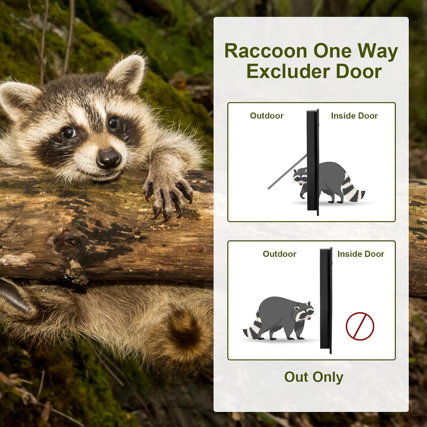 Raccoon Excluder One Way Door, Safe Removal Raccoons Trap Contactless Exclusion Device for Attics,Under Decks & Chimneys Raccoon One Way Exclusion Door image number 2
