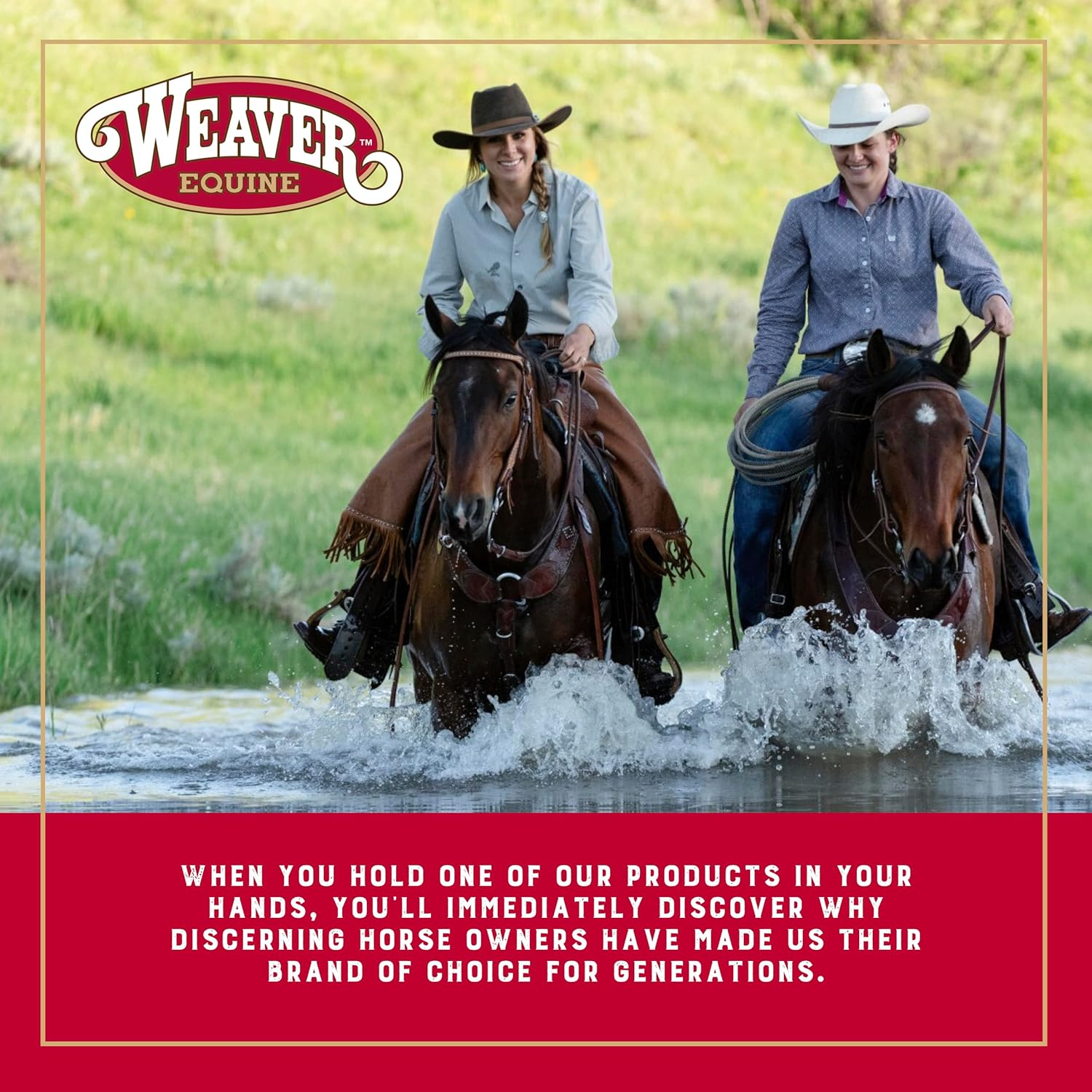 Horse Grooming Kit image number 5