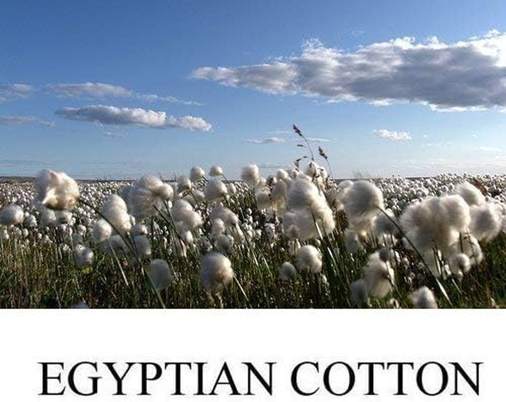 Hotel Luxury Bed Sheets Turquoise Solid 6 Pcs Queen Bed Sheet Set 100% Egyptian Cotton, Sateen Solid, 18 Inches Deep Pocket image number 4