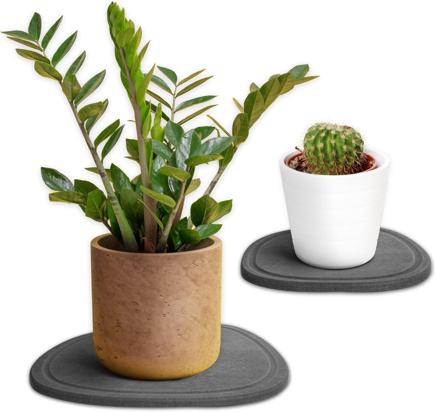 Home - Stone Plant Saucer | Super Absorbent, Quick Drying Indoor Pot Saucers | Made of Natural Diatomaceous Earth | Absorbing Water Instantly | 1 Large & 1 Small Drip Tray | Colour Graphite image number 3