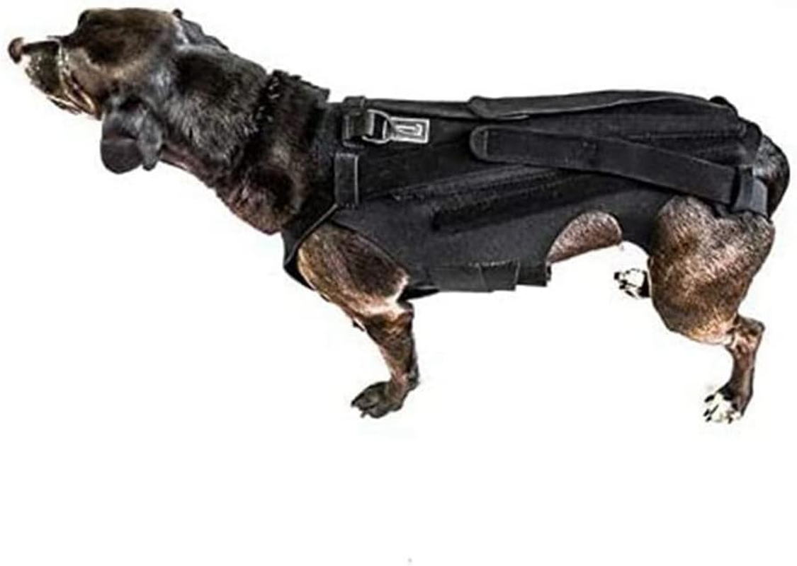Dog Back Brace for IVDD, Back Brace Comfortable Full Body Harness Dog Clothing Dog Back Protector -L image number 6