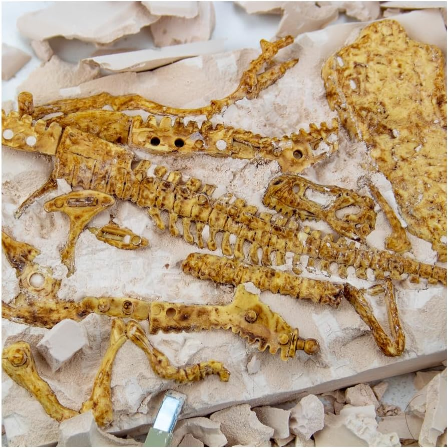 Science 4 You &ndash; T-Rex Fossil Excavation Kit for Kids Age 6+ &ndash; Dig up a T-Rex with 10-Piece Set, Excavation Tools & Online Educational Book &ndash; Dinosaur STEM Discovery Toy