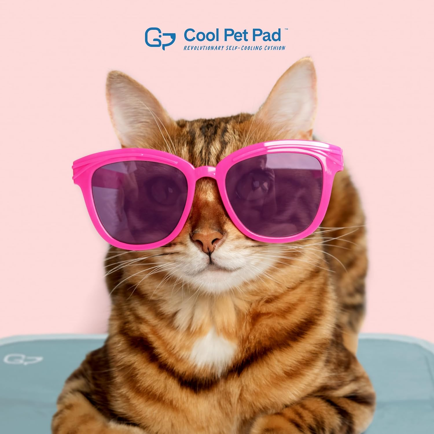 The Green Pet Shop Cool Pet Pad - Medium, Sage Grey - Self-Cooling, Pressure Activated Mat for Dogs & Cats from 21-45 Lbs - Non-Toxic Gel, No Water Needed - Sage Grey image number 3