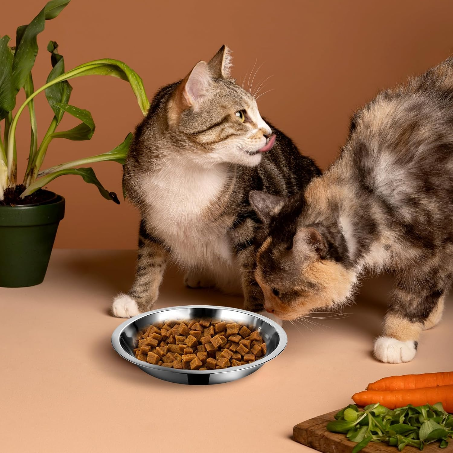 5Packs Cat Food Bowl 5.9Inch Stainless Steel Cat Food Bowl Shallow and Wide Cat Wet Food Bowl Pet Feeding Bowl Kitten Food Bowl Replacement Basic Small Dog Bowl for Indoor Kitten Puppy Small Dog image number 6