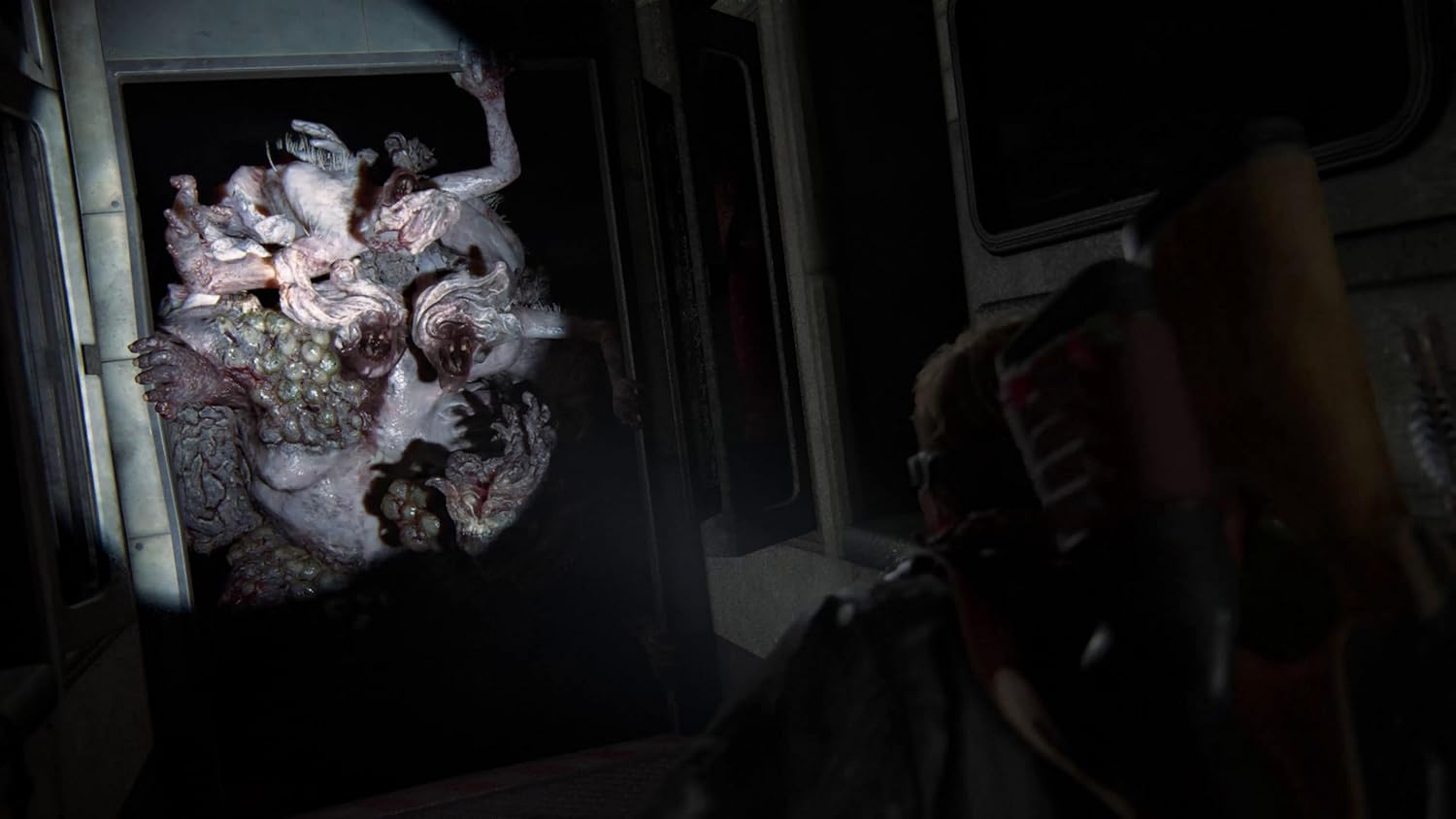 The Last of Us Part II (Remastered) image number 3