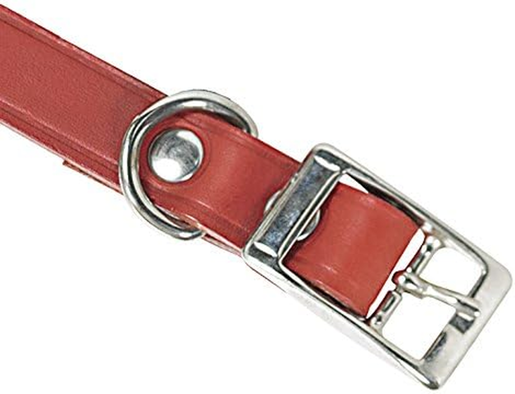 CHAPUIS SELLERIE SLA633 Dog Collar - Red Leather - Width 30 Mm - Length 60 Cm - Size L image number 1