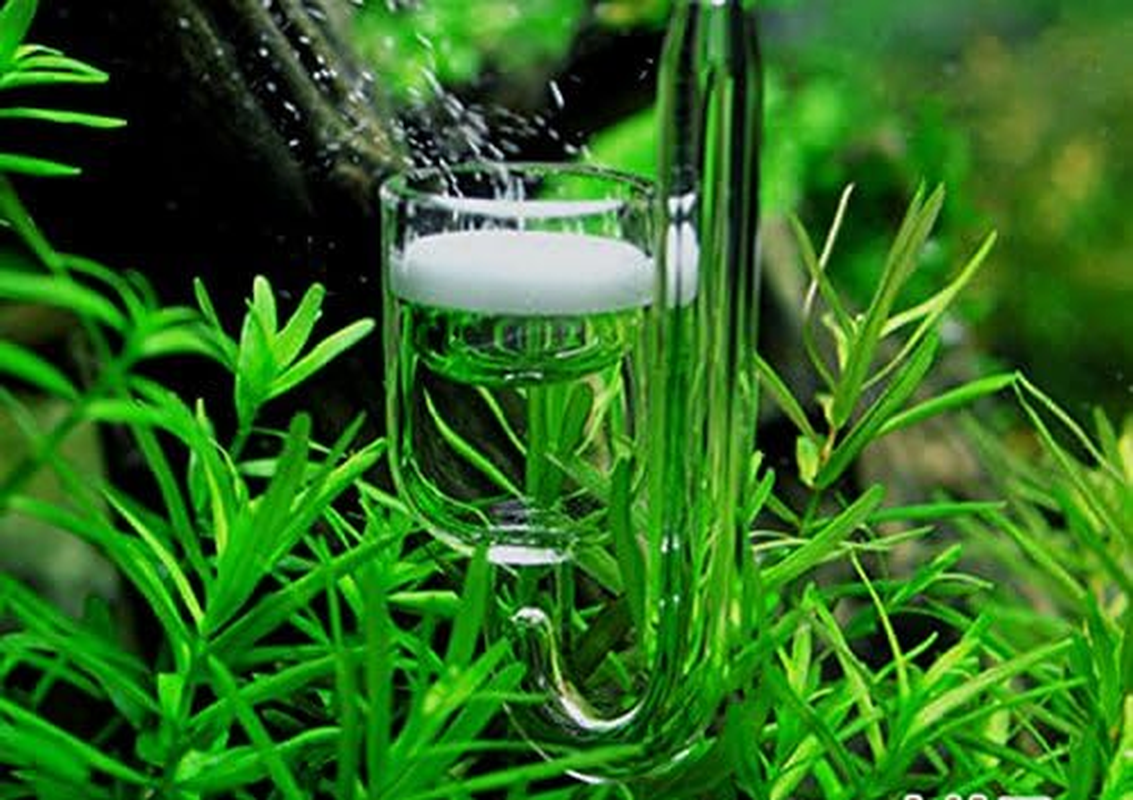Yagote CO2 Diffuser, Nano CO2 Diffuser Glass Reactor for Aquarium Planted Tank (CO2 Diffuser) - Co2 Checker With Solution image number 2