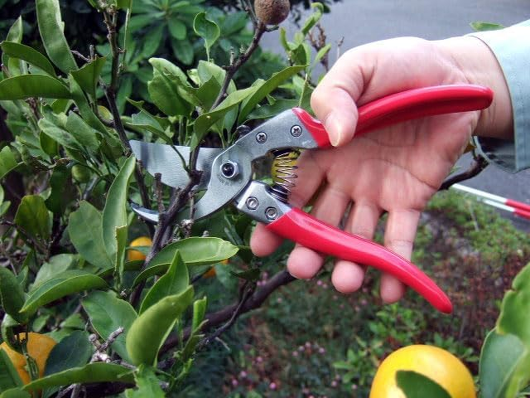 ARS HP-VS9Z Signature Heavy Duty Pruner image number 3
